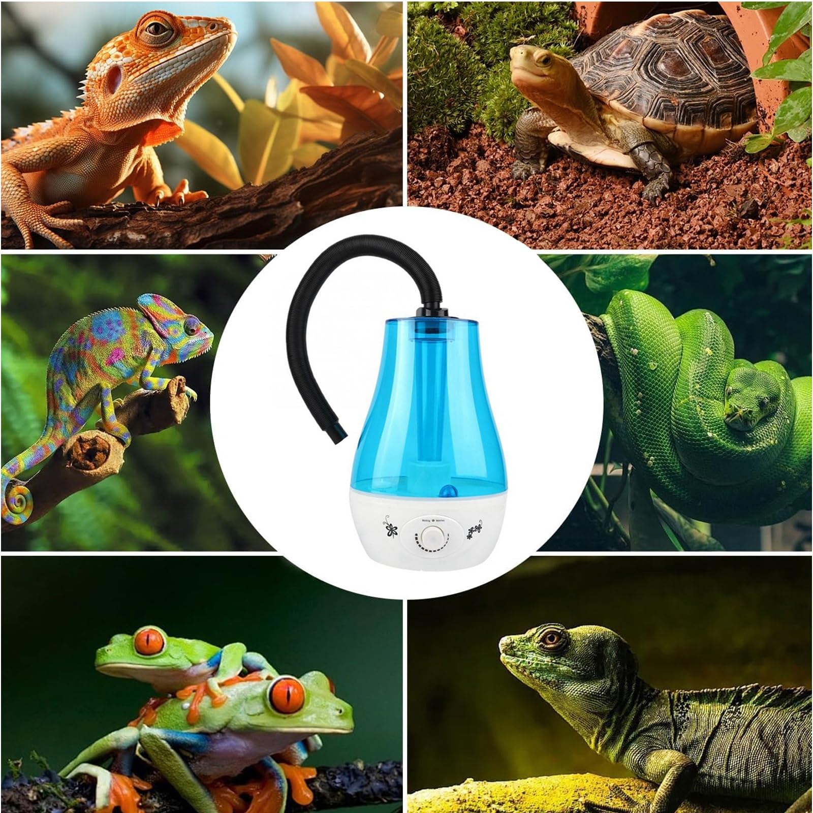 Nebulizador de Reptiles de Gran Capacidad de 3 L, Humidificador de Terrario, Máquina de Niebla para Reptiles y Plantas de Vivero(Black)