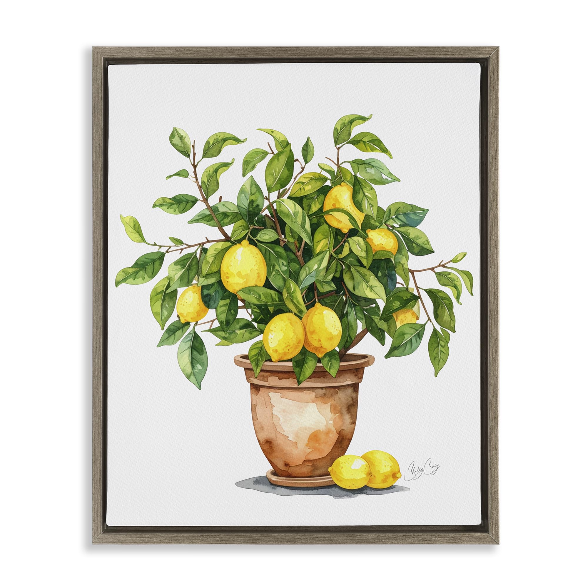 Stupell Industries Sunlit Potted Lemon Tree 'Potted Lemon Tree', Floating Frame Canvas Art, Brown, 25 X 31 Inches, Easy To Hang And Sturdy, Made In Usa, By Shelly Craig