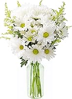 Vista 6 de KaBloom Flores - Ramo de Noche Silenciosa de Rosas Púrpuras, Hortensias Blancas, Orquídeas Moradas y Verdes Sin Jarrón - Regalo para cumpleaños