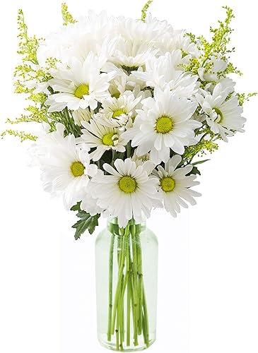 Miniatura 7 de KaBloom PRIME ORVERNIGHT DELIVERY - Ramo de 3 lirios blancos orientales 5 orquídeas moradas con verdes exuberantes