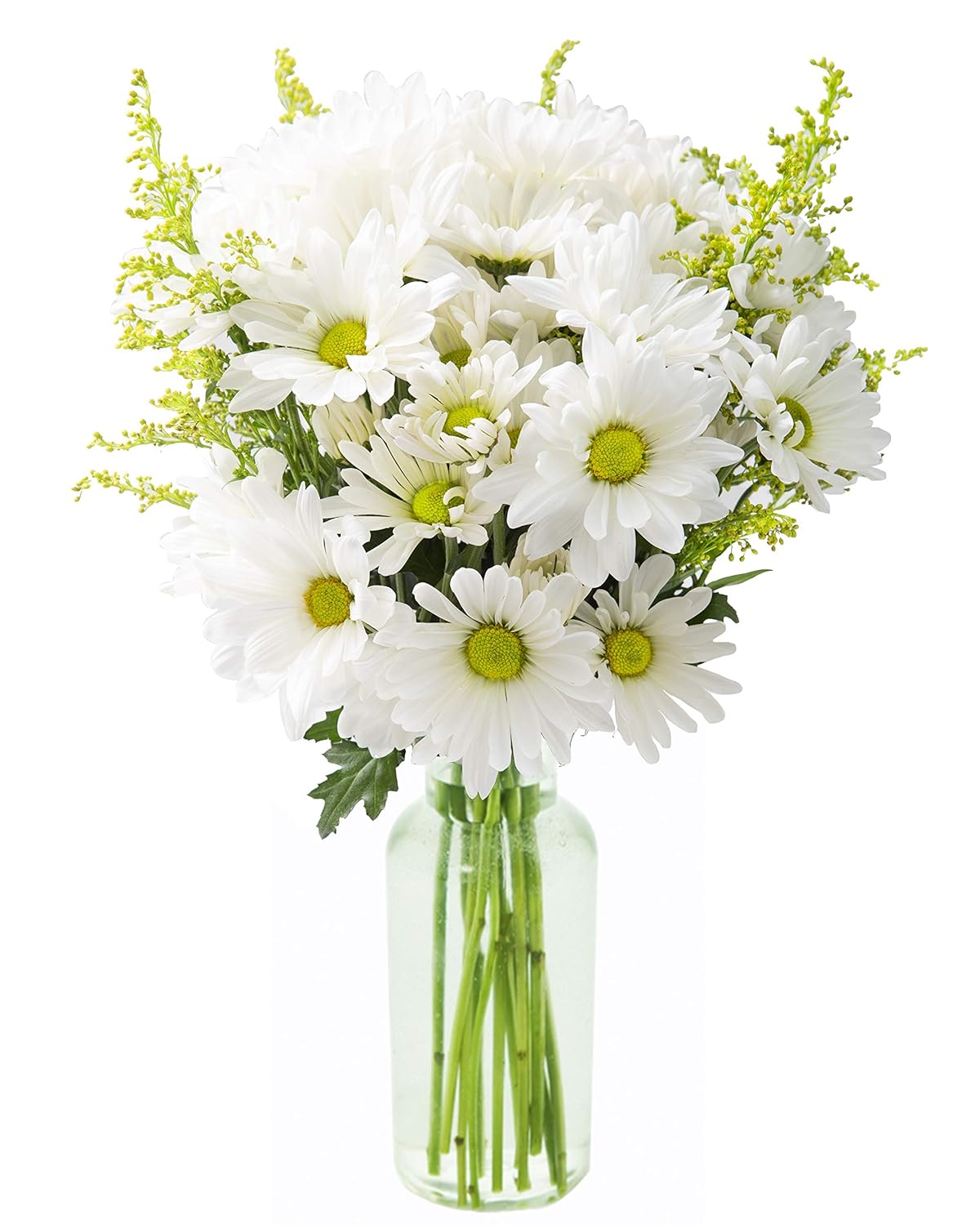 KaBloom Flowers - Bountiful Beauty Bouquet of Fresh White Daisies with Vase - Gift for Birthday, Thank You,Valentine, Mother’s Day Fresh Flowers