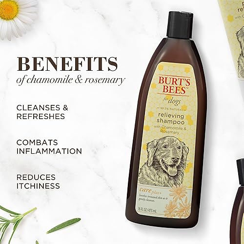 Miniatura 4 de Champú para perros Burt's Bees for Dogs Care Plus+ Champú de alivio natural, aerosol, acondicionador fabricado con manzanilla y romero, libre de