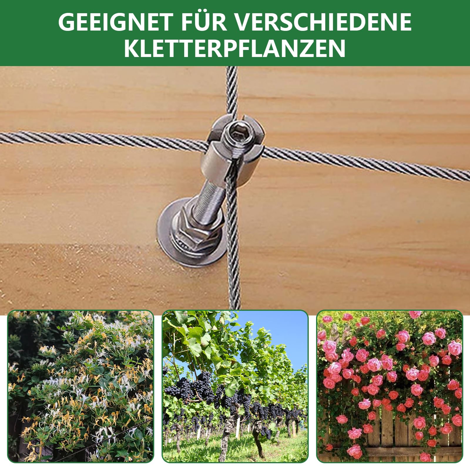 Rankhilfe Metall Edelstahl für Kletterpflanzen, 16m Kletterhilfe Stahlseil | Rankhilfe Wand Pflanzen Set mit 3 mm Durchmesser Seil&10 Halter, Rankgitter Ddelstahl Seilsystem für Garten/Mauer/Beton/Zaun