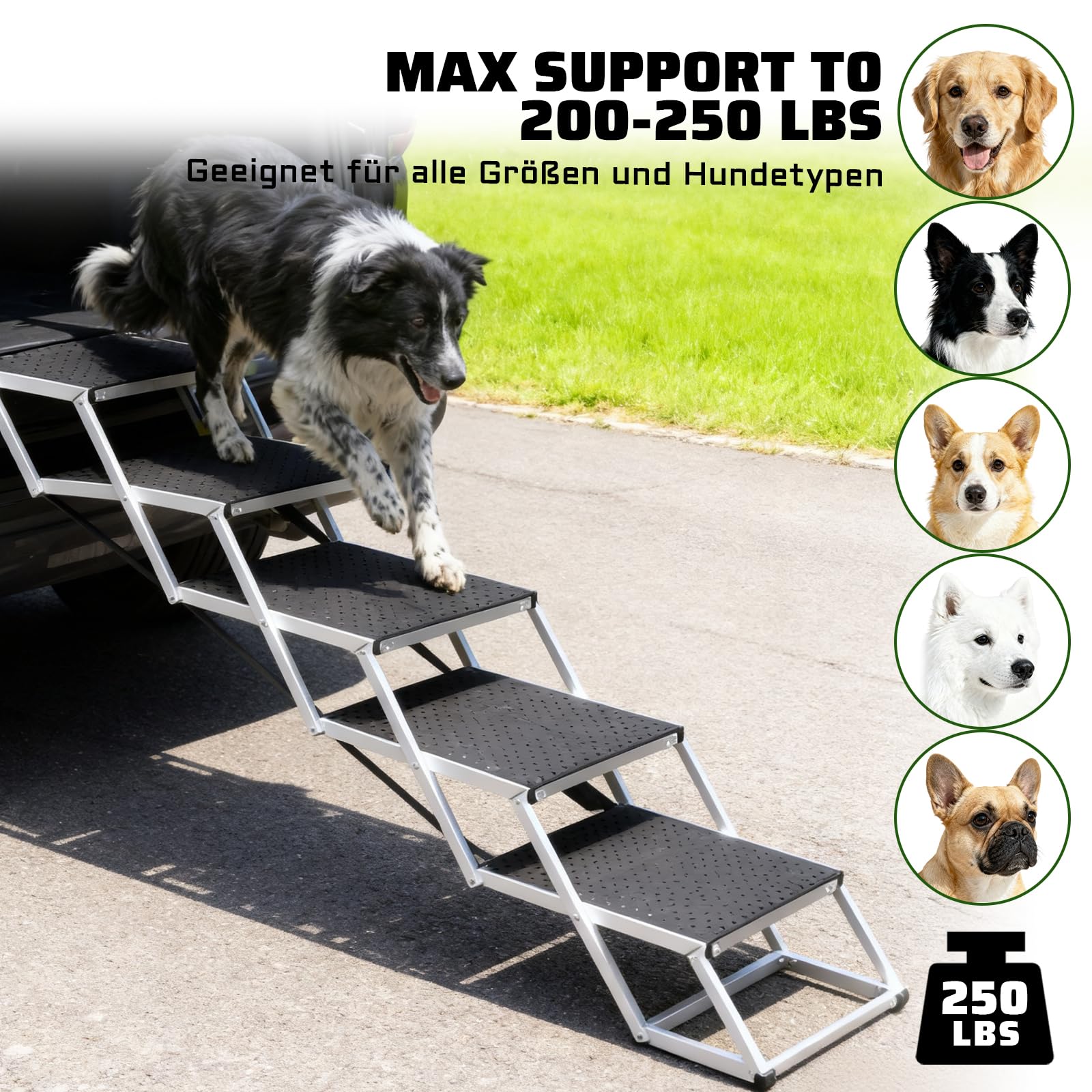 Storystore Hundetreppe Auto, 4 Stufen Hundetreppe Auto klappbar, Hunderampe Auto mit Rutschfester Oberfläche, Einstiegshilfe Hunde Auto für SUV, Auto, LKW Kofferraum, Hochbett, Belastbar bis 80 kg