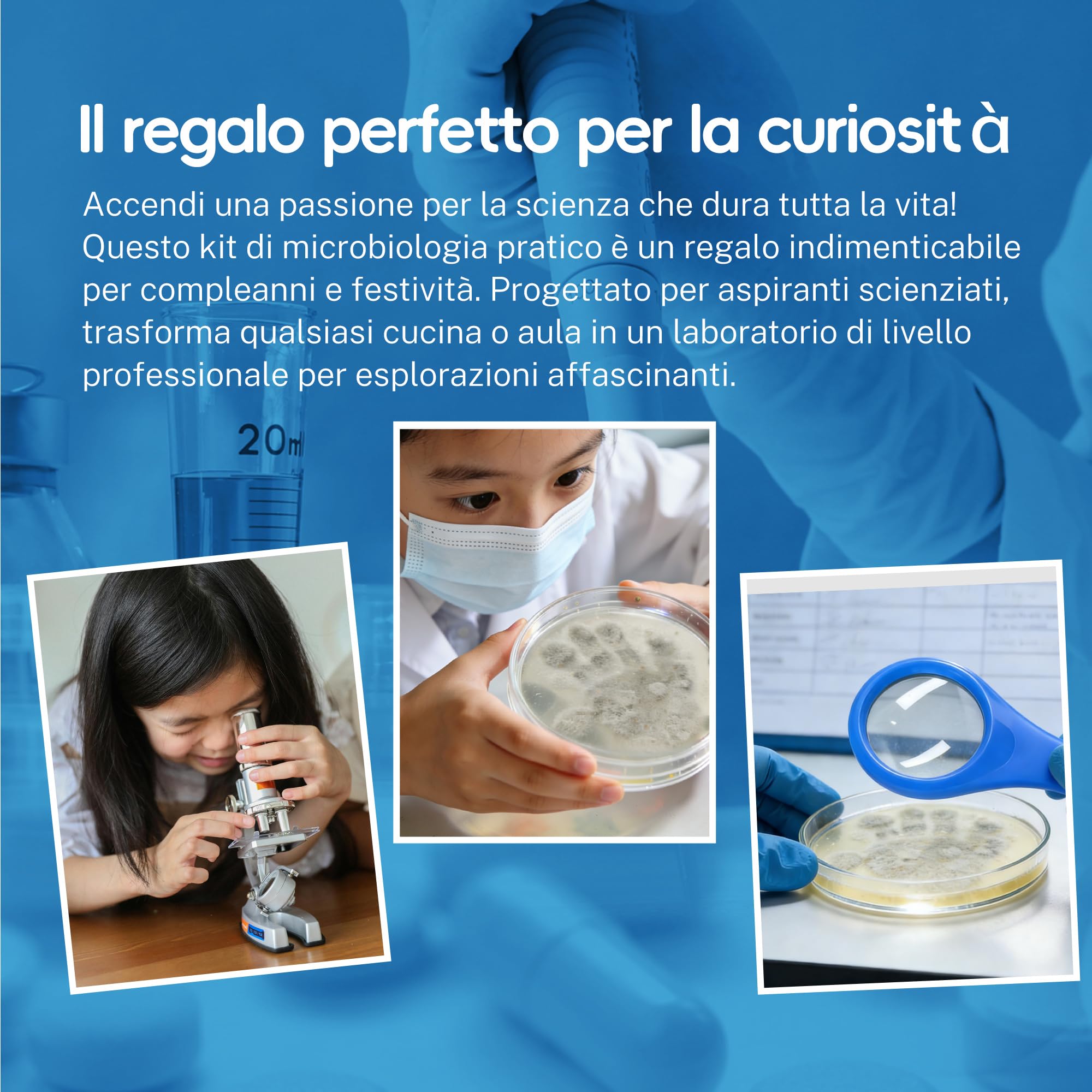 Kit per impronte di batteri per bambini, 2 piastre giganti di agar Petri pre-versate da 150 mm, progetto scientifico per esperimenti di microbiologia, con lente d'ingrandimento e tamponi sterili