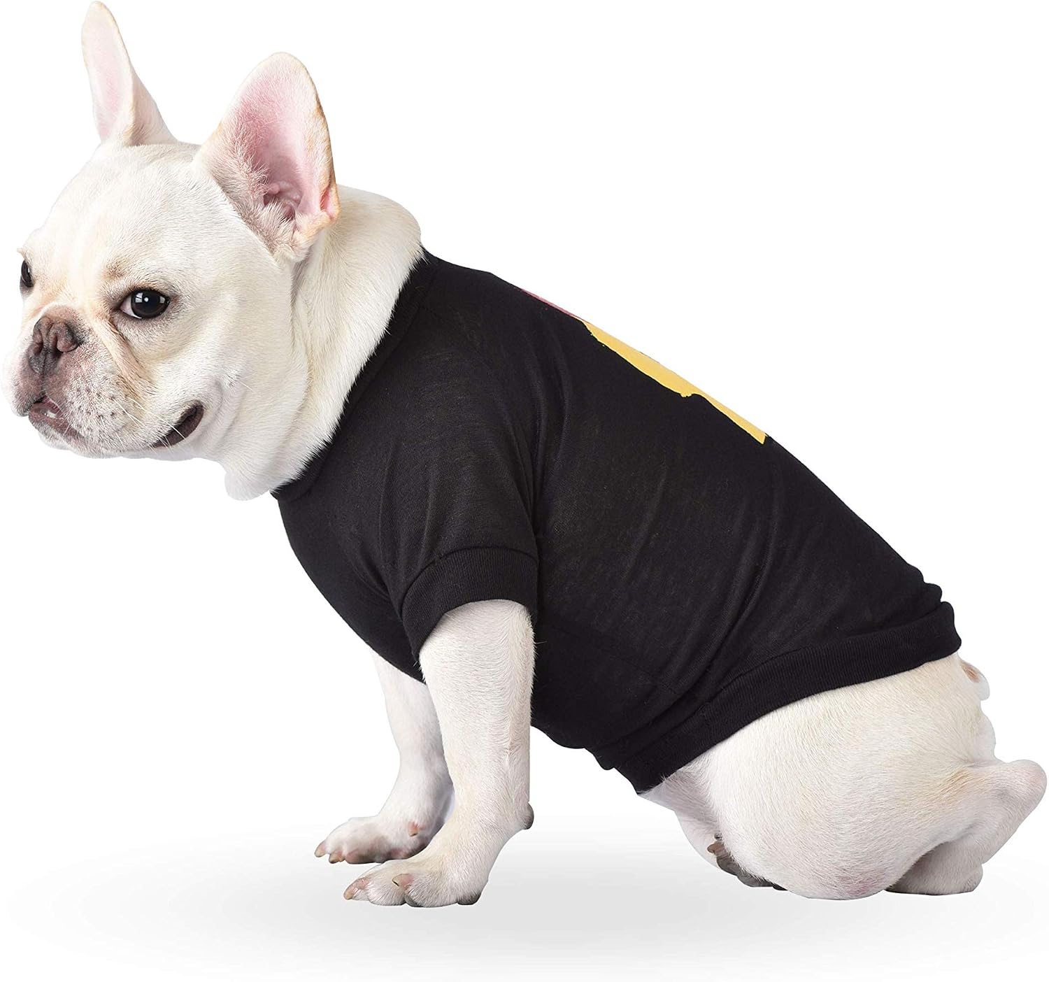 WARNER BROS The IT Movie You'll Flat Too Tee for Dogs, Small - IT The Movie Pet T-Shirt for Dogs - Soft, Cute, and Comfortable Dog Clothing and Apparel