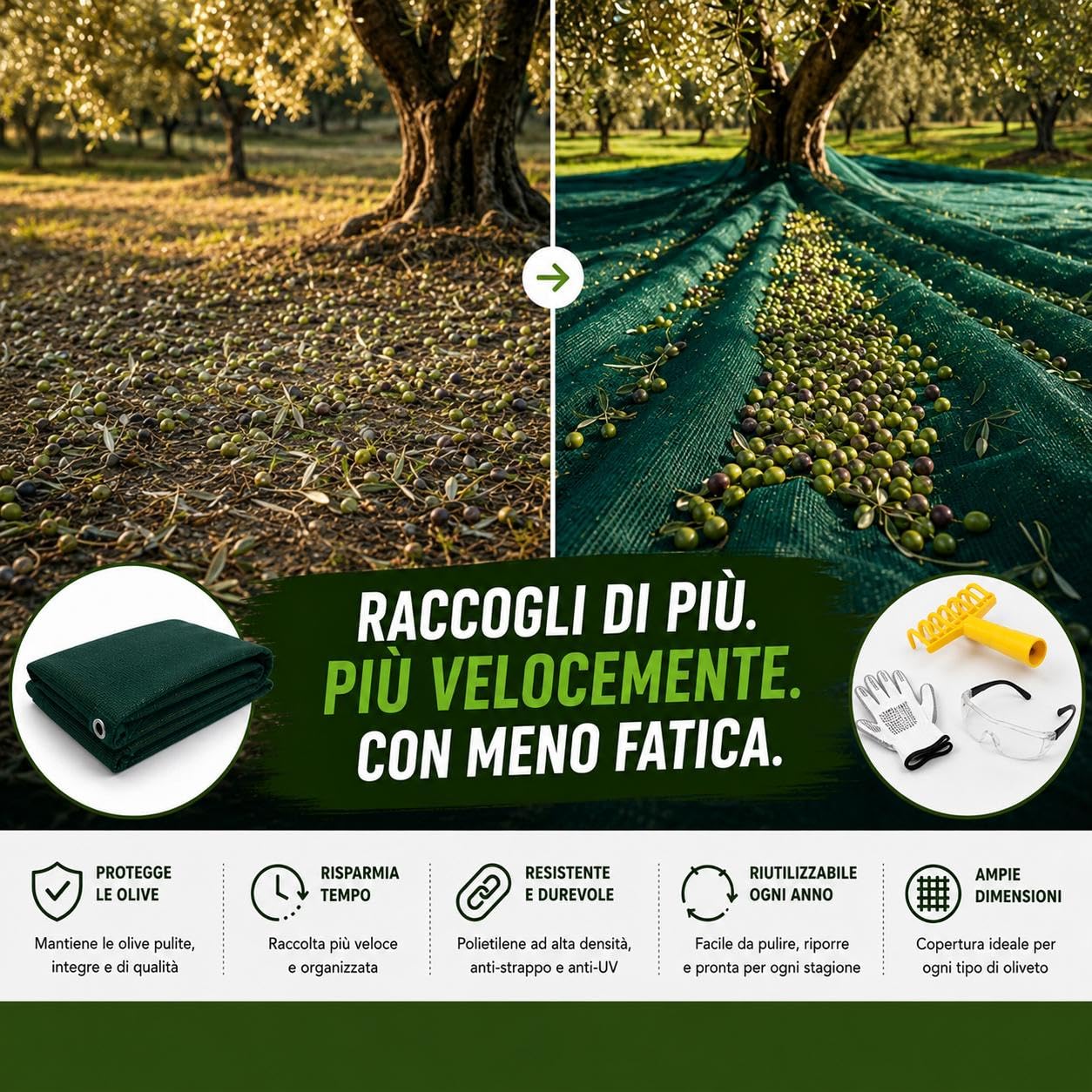 Rete Telo Raccolta Olive PINTO FERRAMENTA Telone Pesante 90 gr/mq con Occhielli e Bordi Rinforzati in Omaggio Occhiali Guanti e Rastrello per Raccolta Noci Mandorle Frutta Secca con apertura (8x8)