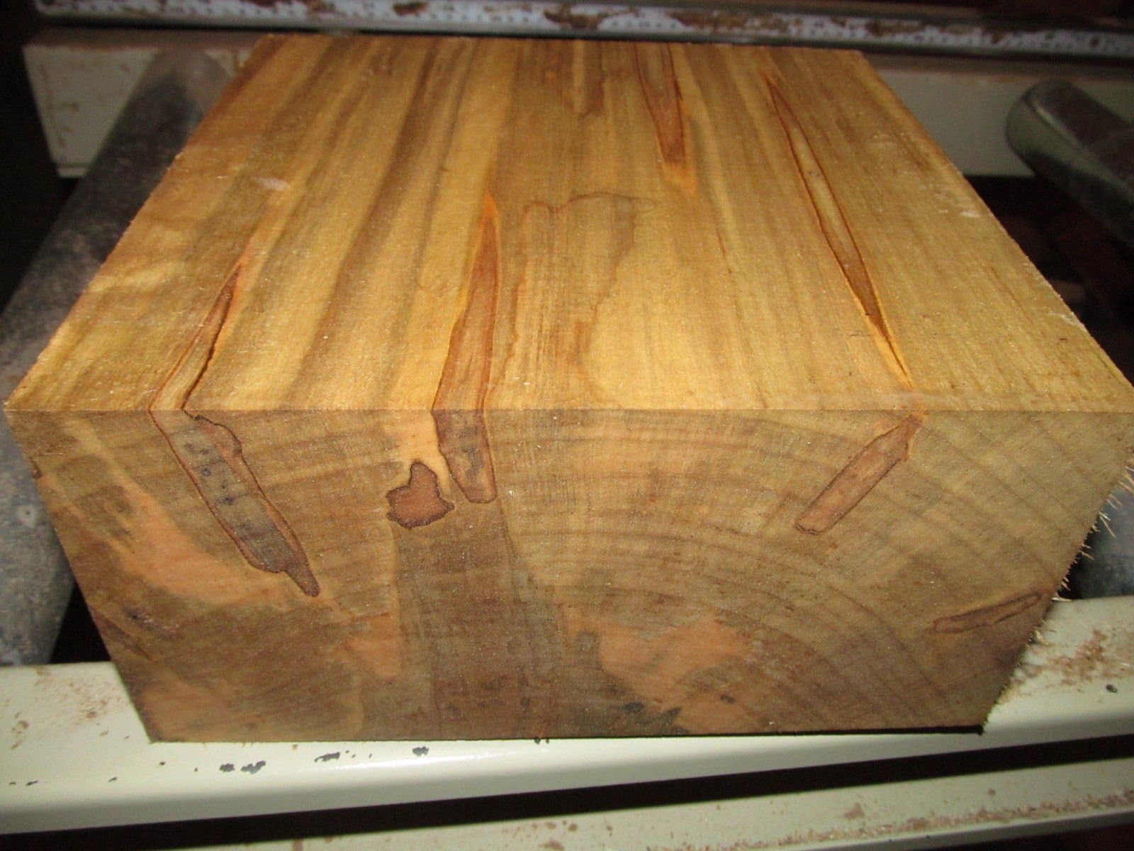 Egytree One Thick 8" X 8" X 4" Ambrosia Maple Bowl Blank Turning Block Lumber Processed Green and Completely Sealed with Anchorseal