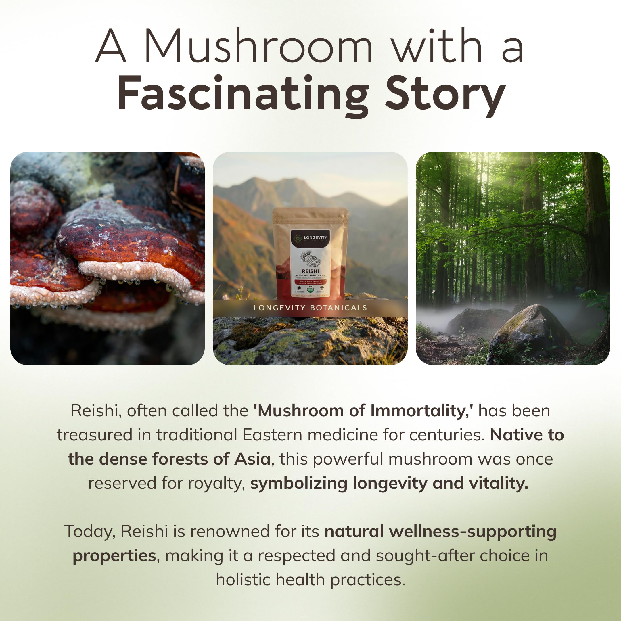 Organic Reishi Mushroom Powder Supplement Extract | Ganoderma Lingzhi — Amazon image 8