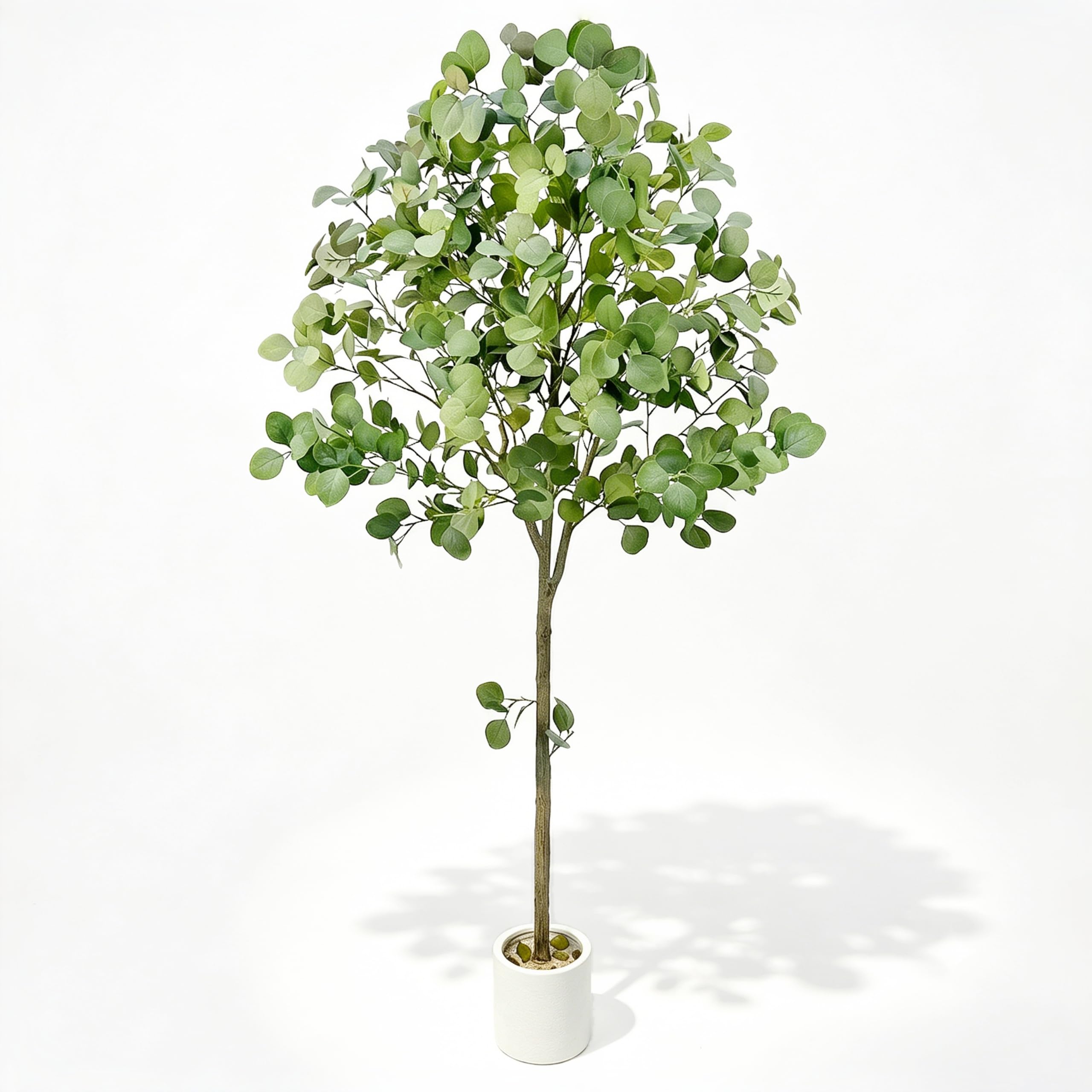 Joyplants 6FT Eucalyptus Tree with White Planter