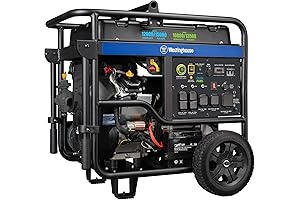 Westinghouse IGen2200: The Champion of Dual-Fuel Power