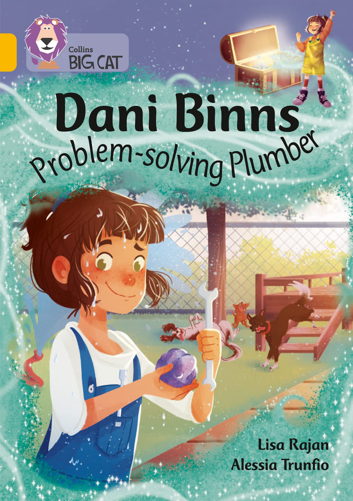 Dani Binns: Problem-solving Plumber: Band 09/Gold (Collins Big... - Rajan, Lisa