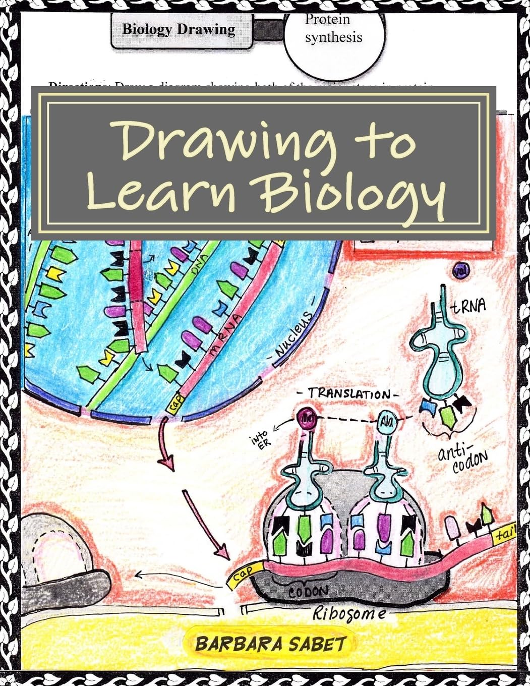 Drawing to Learn Biology: Student Assignments in Illustrating Biology Concepts