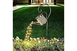 Metal Lighted Watering Can
