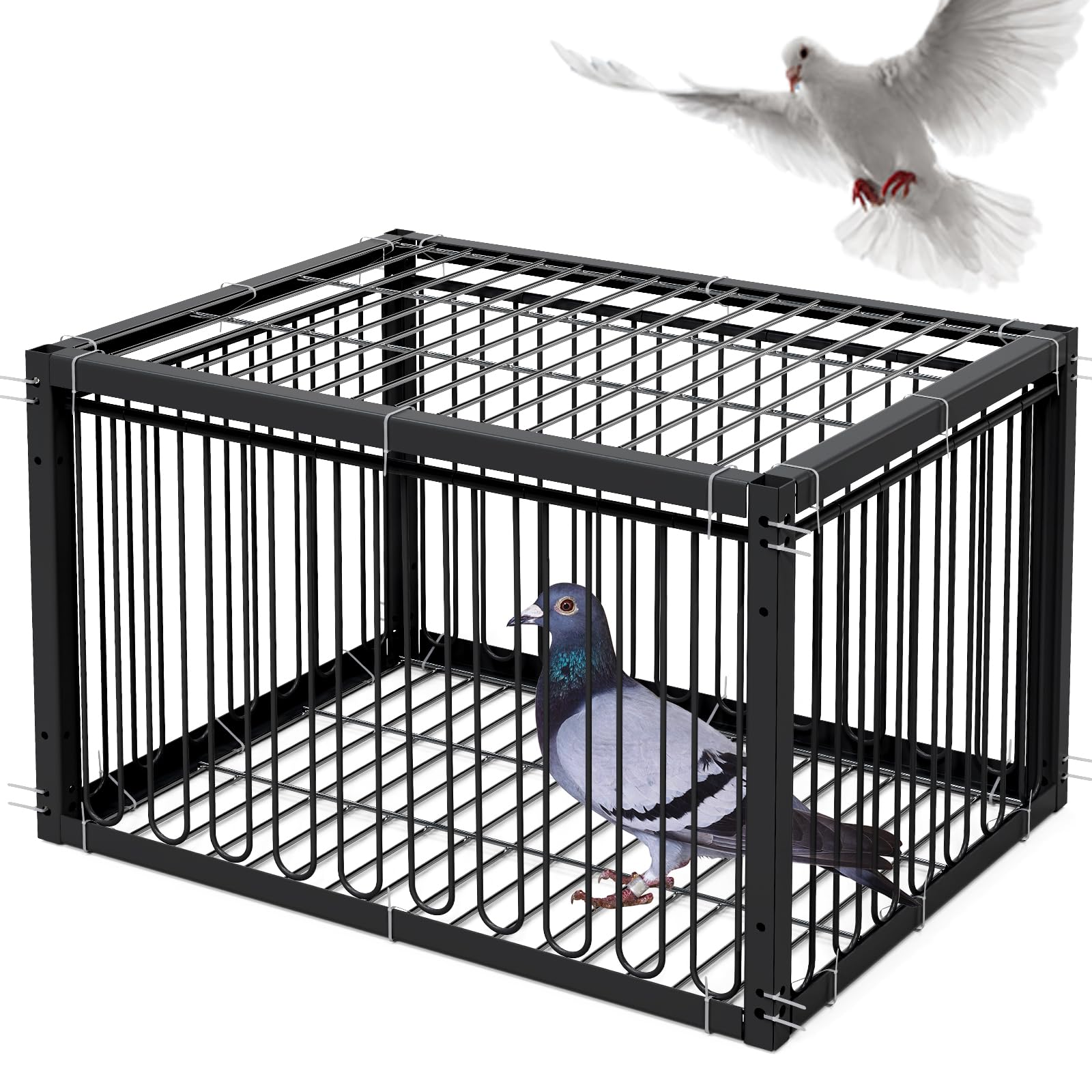 MOGOULUA Pigeon Cage 40 cm Bird Cage for Collecting Pigeons Carrier Pigeons Meat Pigeons Snow Pigeons Quails (Black)