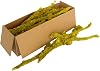 SuperMoss 21617 Lichen Parmelia (Branched), 120 in3 Bag (Appx. 4oz), Natural/Grey