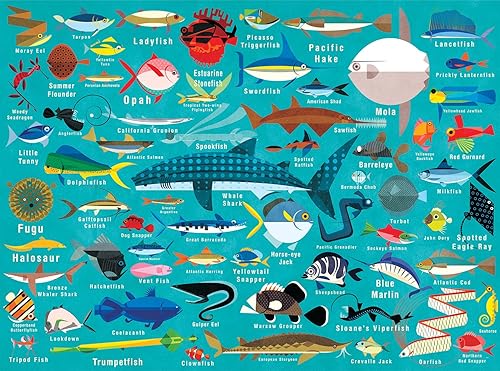 Mudpuppy Ocean Life - Rompecabezas de 1000 piezas para adultos y familias rompecabezas familiar con ilustraciones coloridas de peces tiburones y