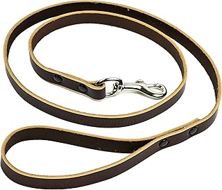 Velvetcrow Leather Dog 1/2