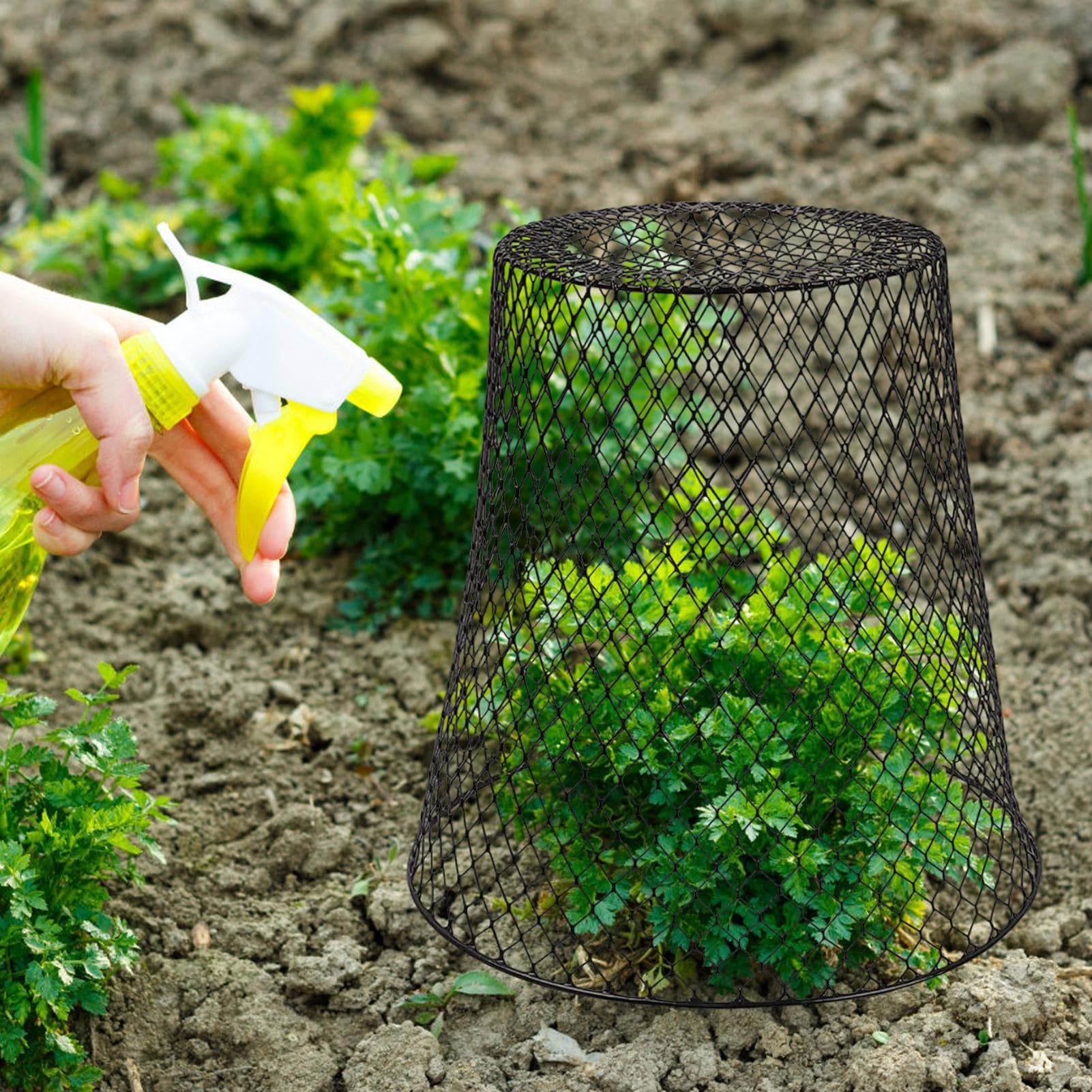 Cloches de Protection pour de Jardin 5 Pièces de Clôture Anti-Animaux en
