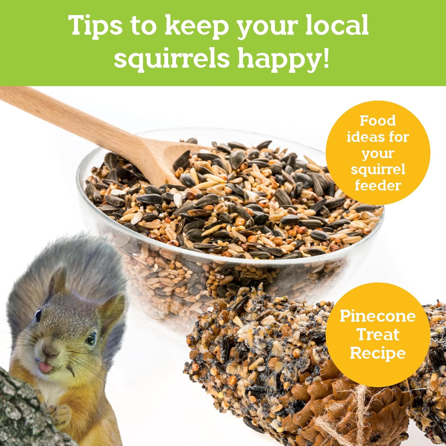 MindWare Make Your Own (MYO) Squirrel Feeder Craft Kit for Kids - Includes Wood Pieces, Paint, Brushes, Instructions and More