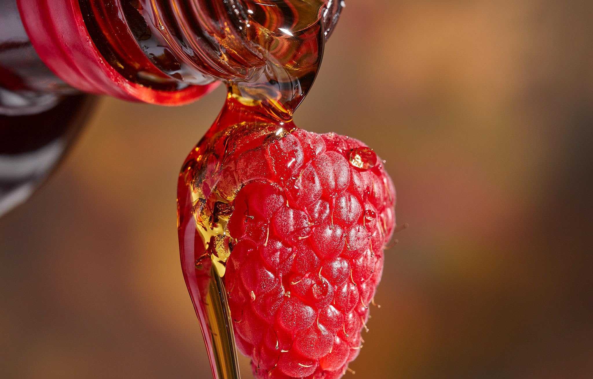 Escuminac Sirop d’Érable. Format 500 ml Vieilli en Fût de Cognac Boitier Cadeau. Certifié Biologique. Embouteillé au Domaine.