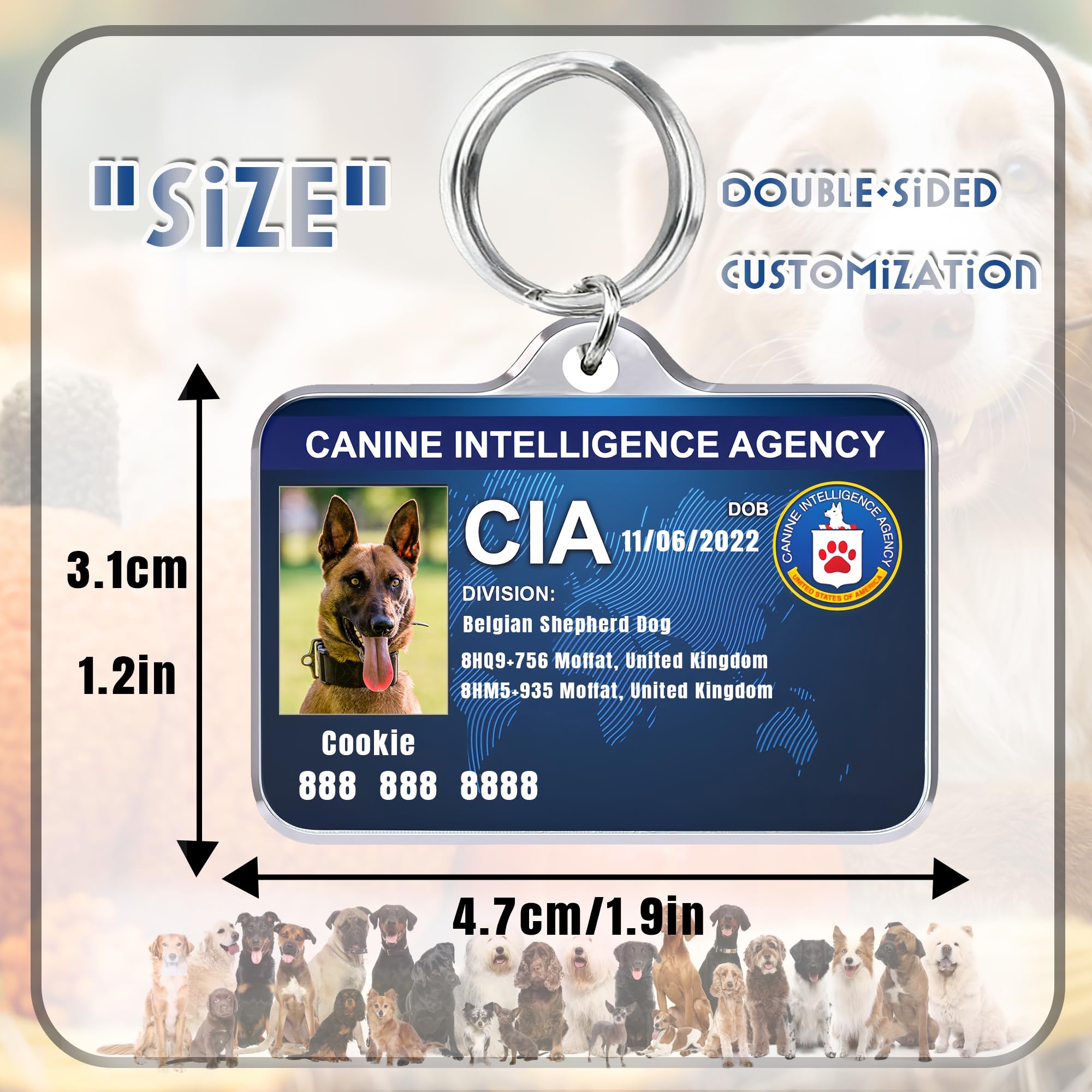 View 4