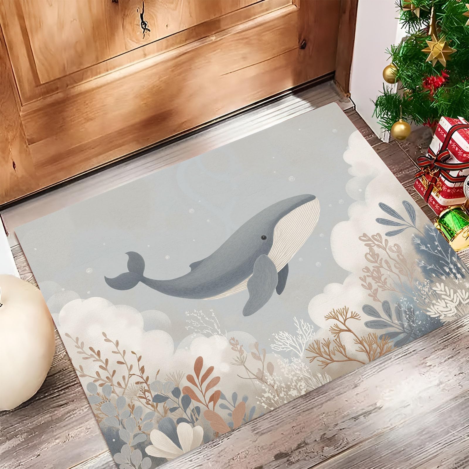 Tapis entrée intérieur extérieur lavable paillasson 50 x 80 cm