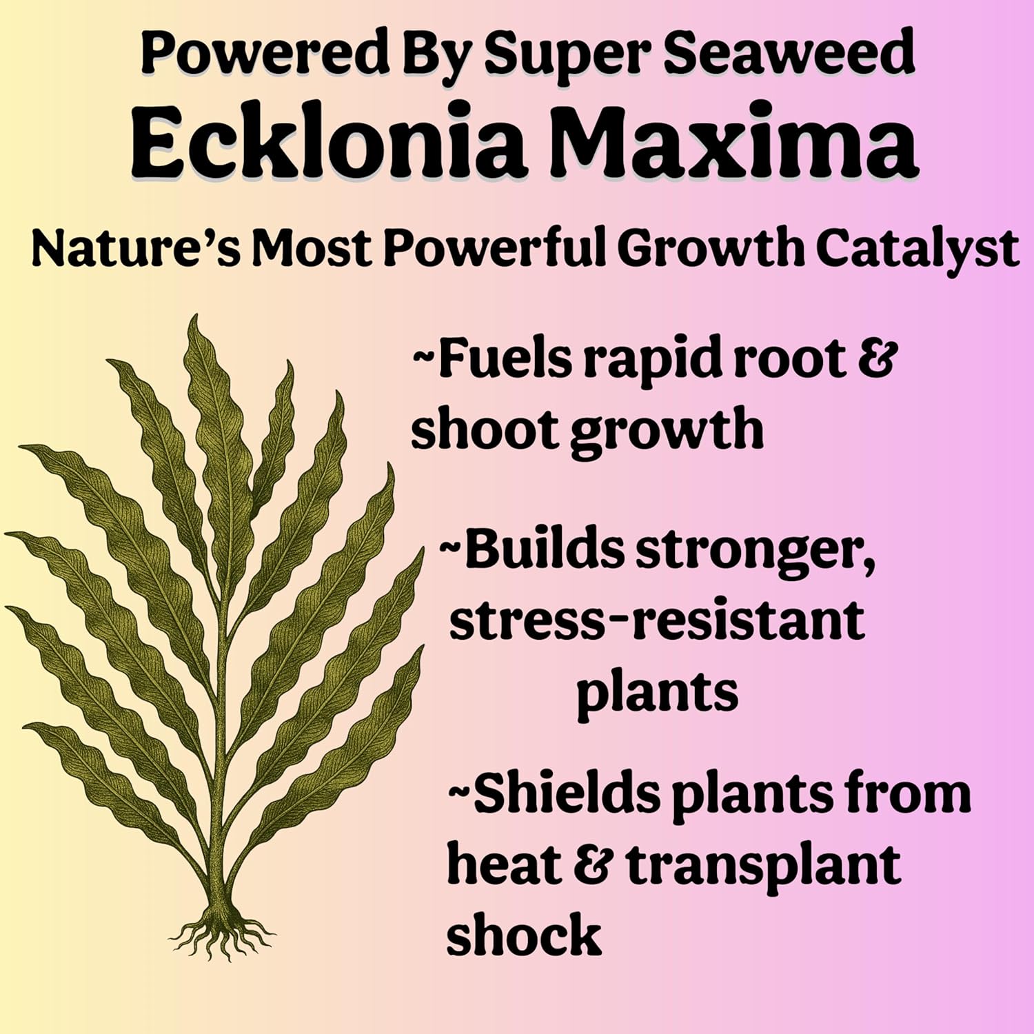 Organic Liquid Indoor Plant Food, Houseplant, Tropical & All-Purpose Indoor Plant Fertilizer, Organic Liquid Fertilizer 5-5-5 with Sea Kelp, 16oz Treats 110 Gallons