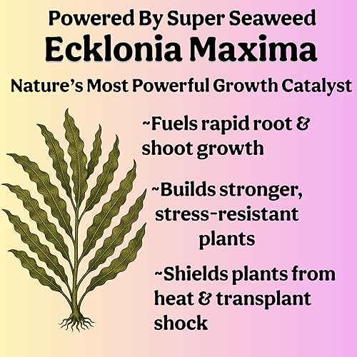 Miniatura 5 de Alimento líquido orgánico para plantas de interior, plantas de interior, fertilizantes tropicales y multiusos para plantas de interior, fertilizante