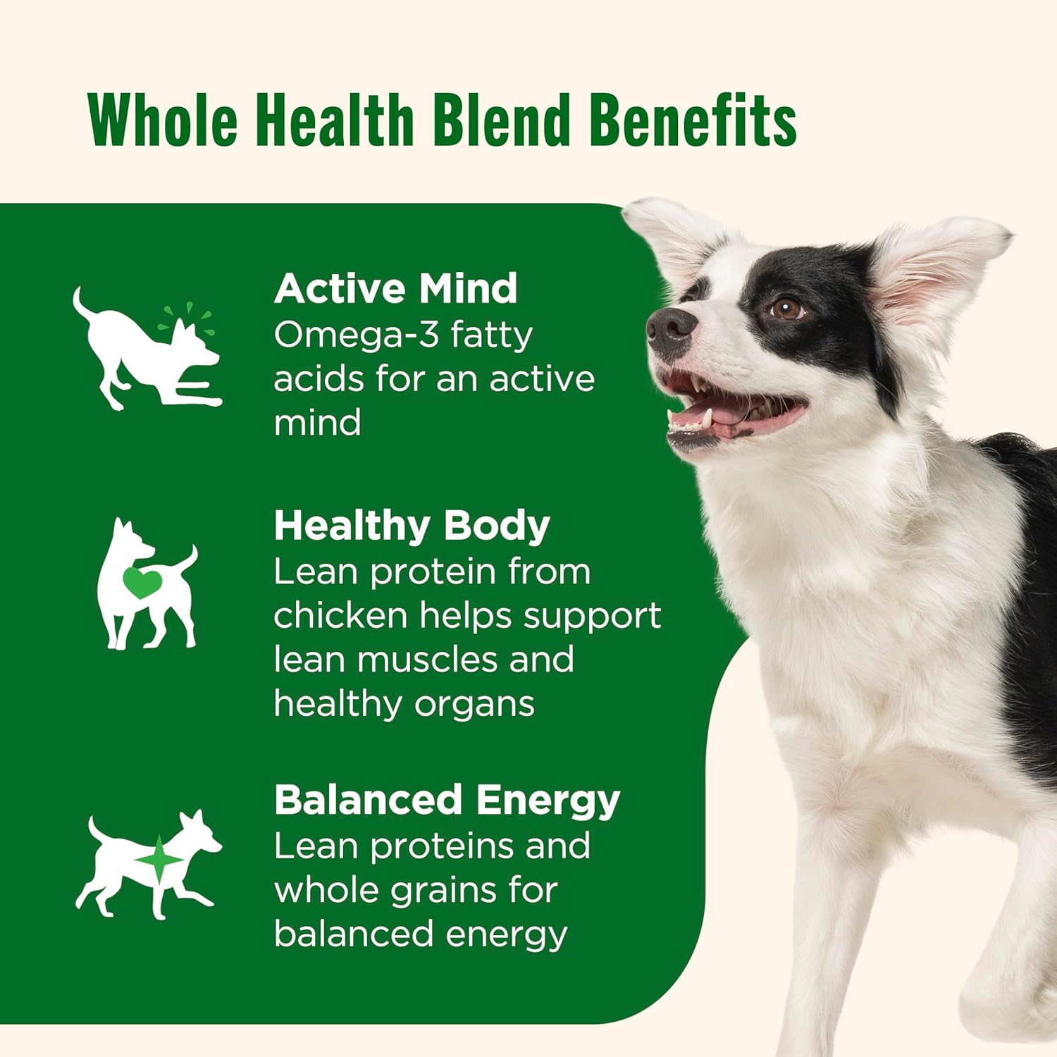 Nutrish Rachael Ray Wet Dog Food Chunks in Gravy Real Chicken & Veggies Recipe, 13 oz. Can, 12 Count - Image 4