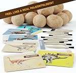 Dig une douzaine d'oeufs dino Kit de dig - Jouets d'oeufs de Pâques pour enfants - Archéologie Sciences STEM Cadeaux d'artisanat pour garçons & Filles - Ouverture de la pause 12 Oeufs remplis de dinosaure de grande surprise & Découvrir 12 Dinosaures mignons