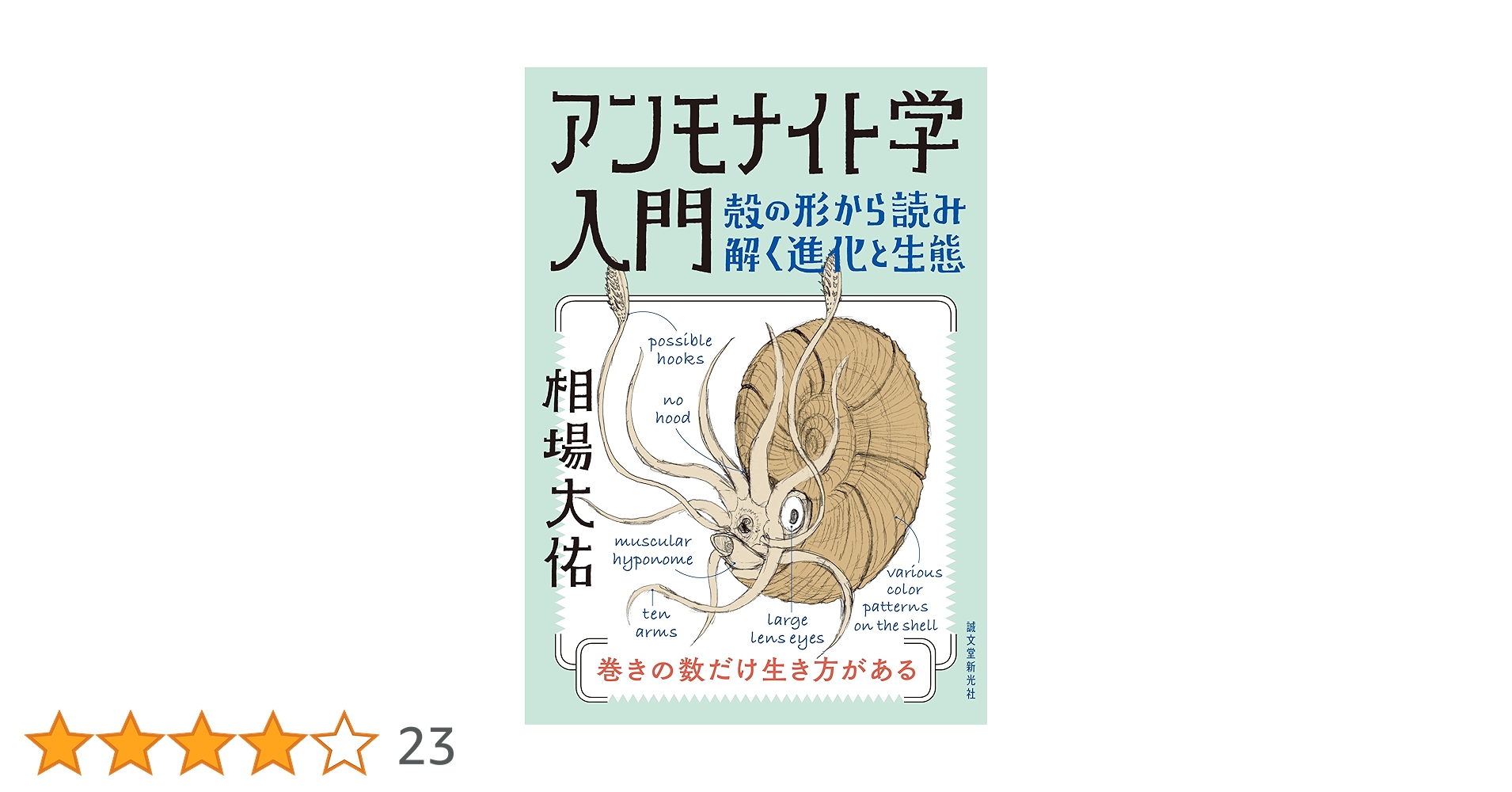 8147U1w65CL.jpg_BO30,255,255,