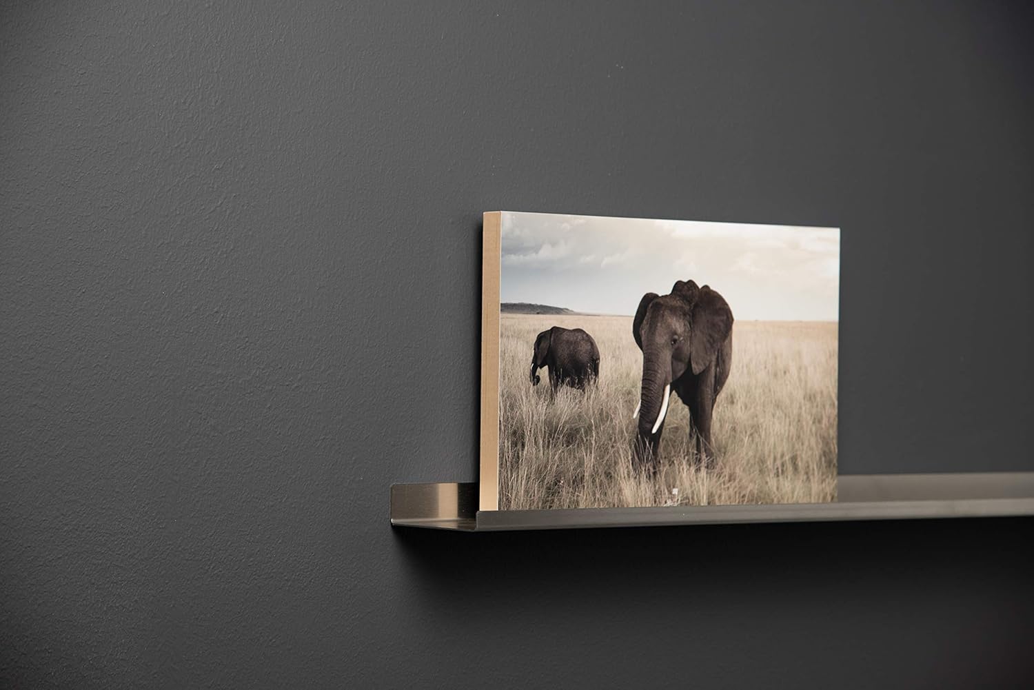 Floating Ledge Stainless Steel for Photo and Picture 3,5