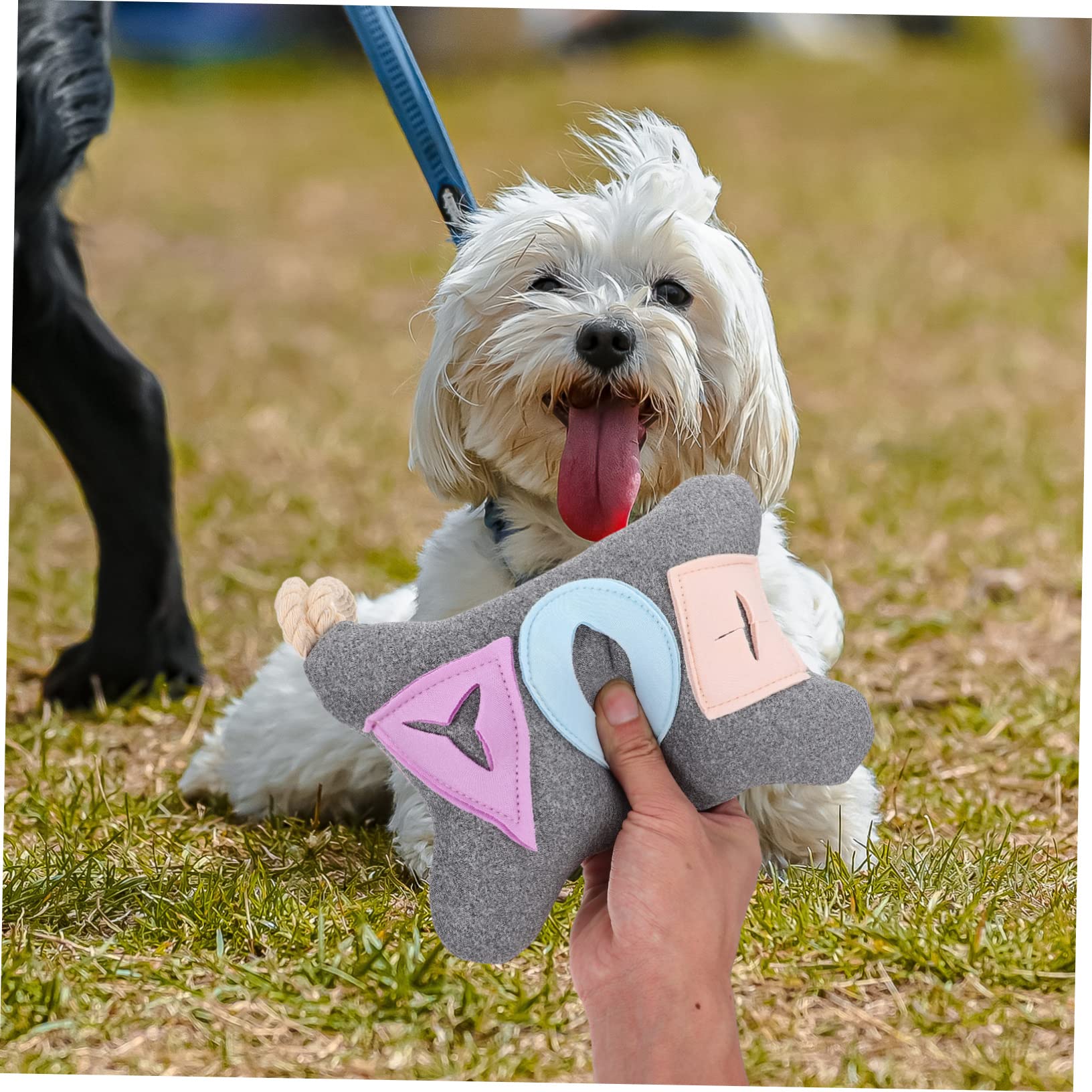 Mipcase 5piezas Juguete para Perros Interactivo Estímulo Cerebral Bola De Comida Oculta para Perros Medianos y Juguete Chirriante y Masticable para Entrenamiento y Reducción del Estrés