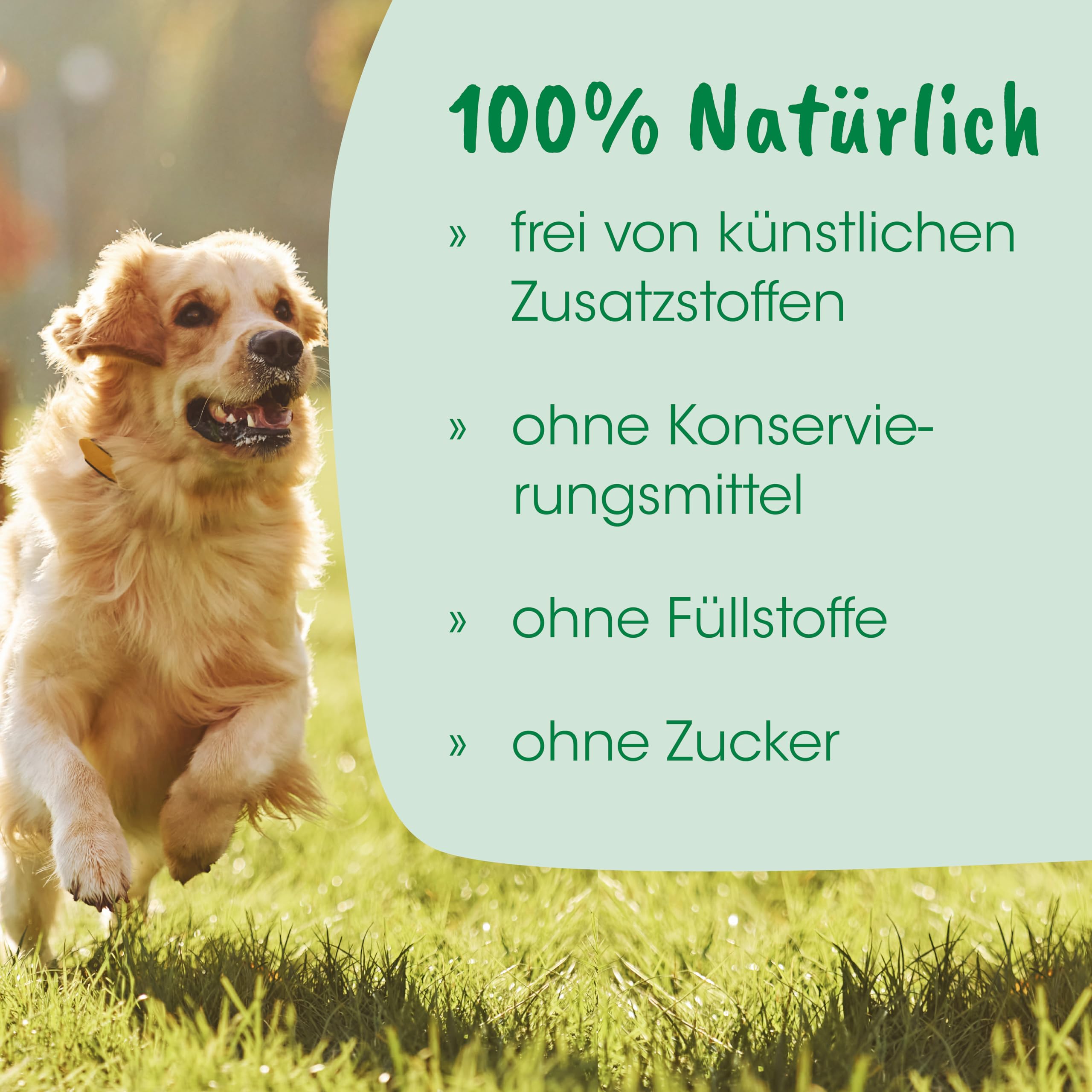 cdVet Magenschutz 400g - Pulver zur Förderung der Gesundheit von Magen und Darm für Hunde und Katzen