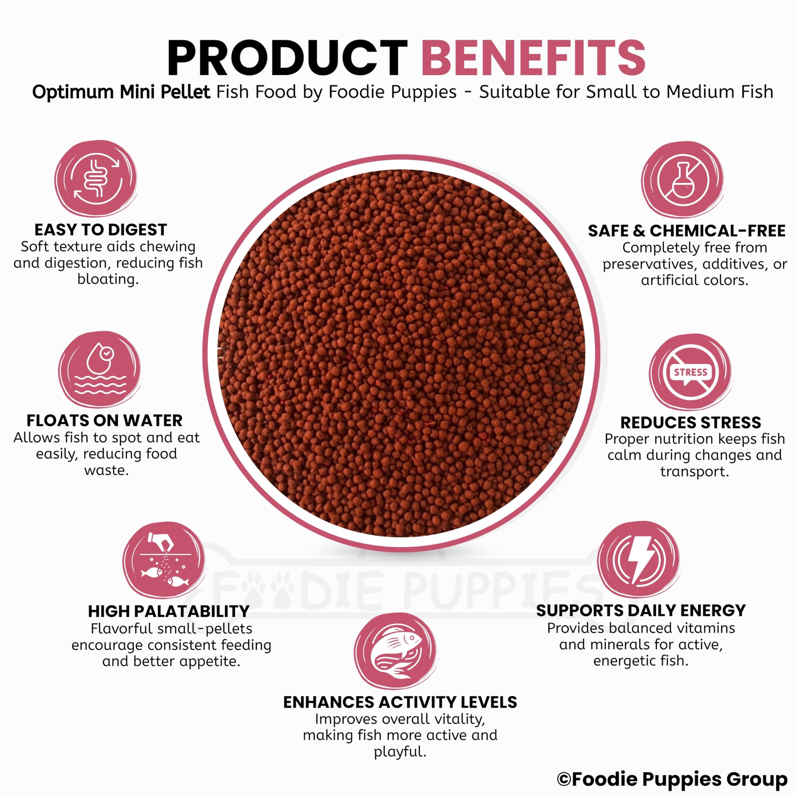 Foodie Puppies Optimum Fish Food - 500gm (Small Pellet) | Highly Digestible & Added with Fish Meal, Corn Protein Meal & Fish Oil | Highly Nutritious Fish Food for All Aquarium Fish with Free Key Ring