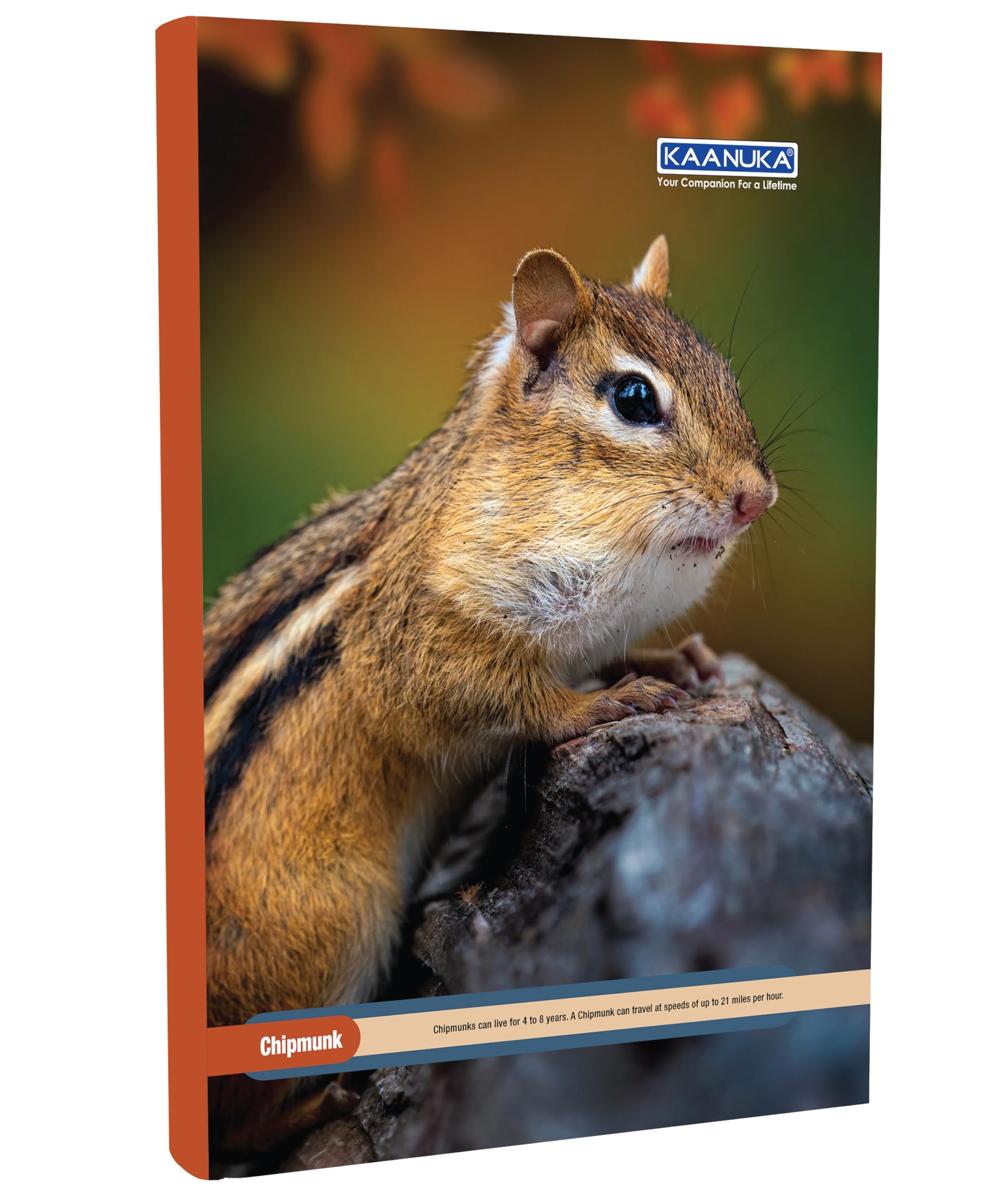 KAANUKA Cuaderno de tamaño largo, 172 páginas, rayado, una sola línea, A4-29,7 cm x 21,0 cm, paquete de 5 cuadernos, cuadernos de tamaño largo de una sola línea para estudiantes escolares y