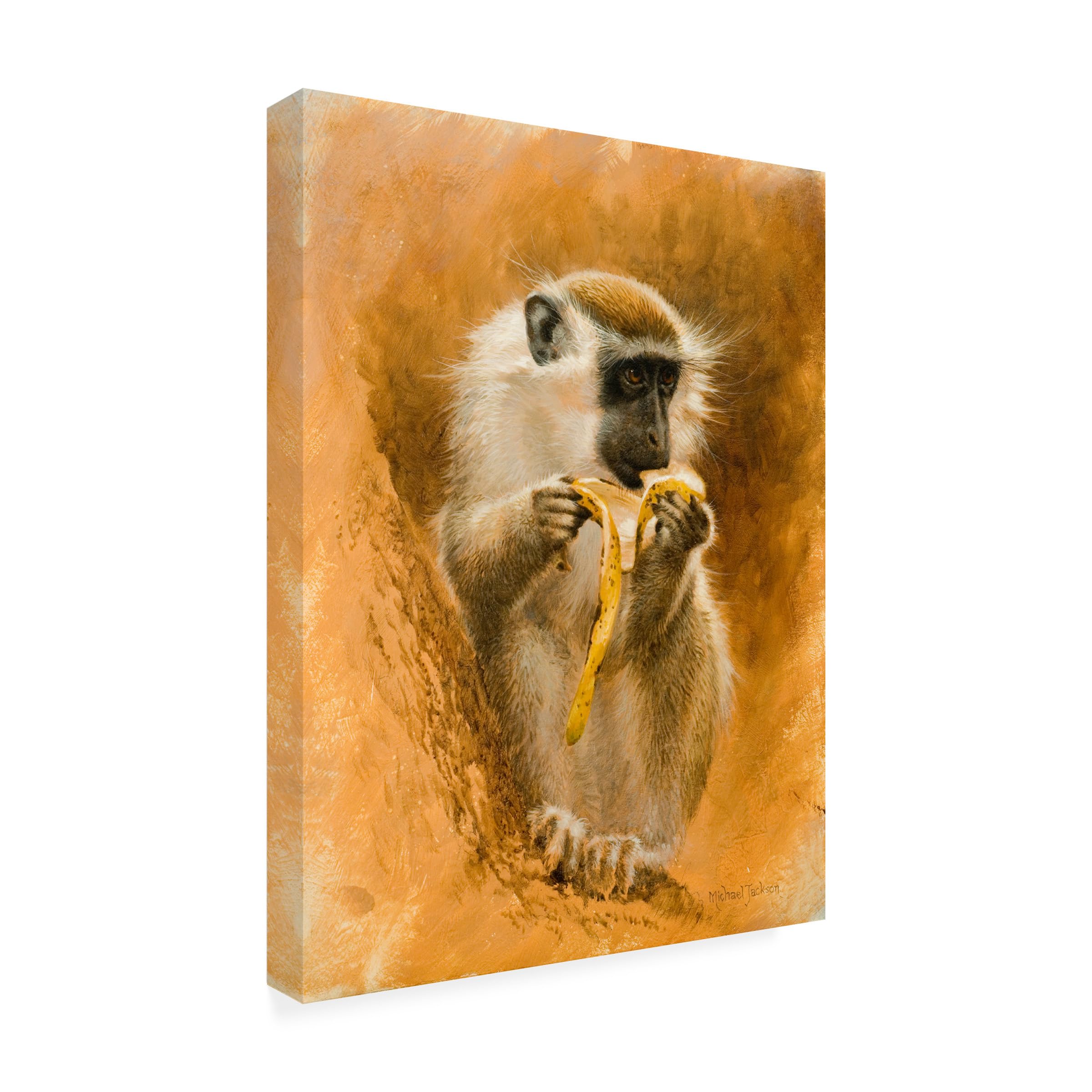 Amazon.com: Trademark Fine Art Green Monkey by Michael Jackson