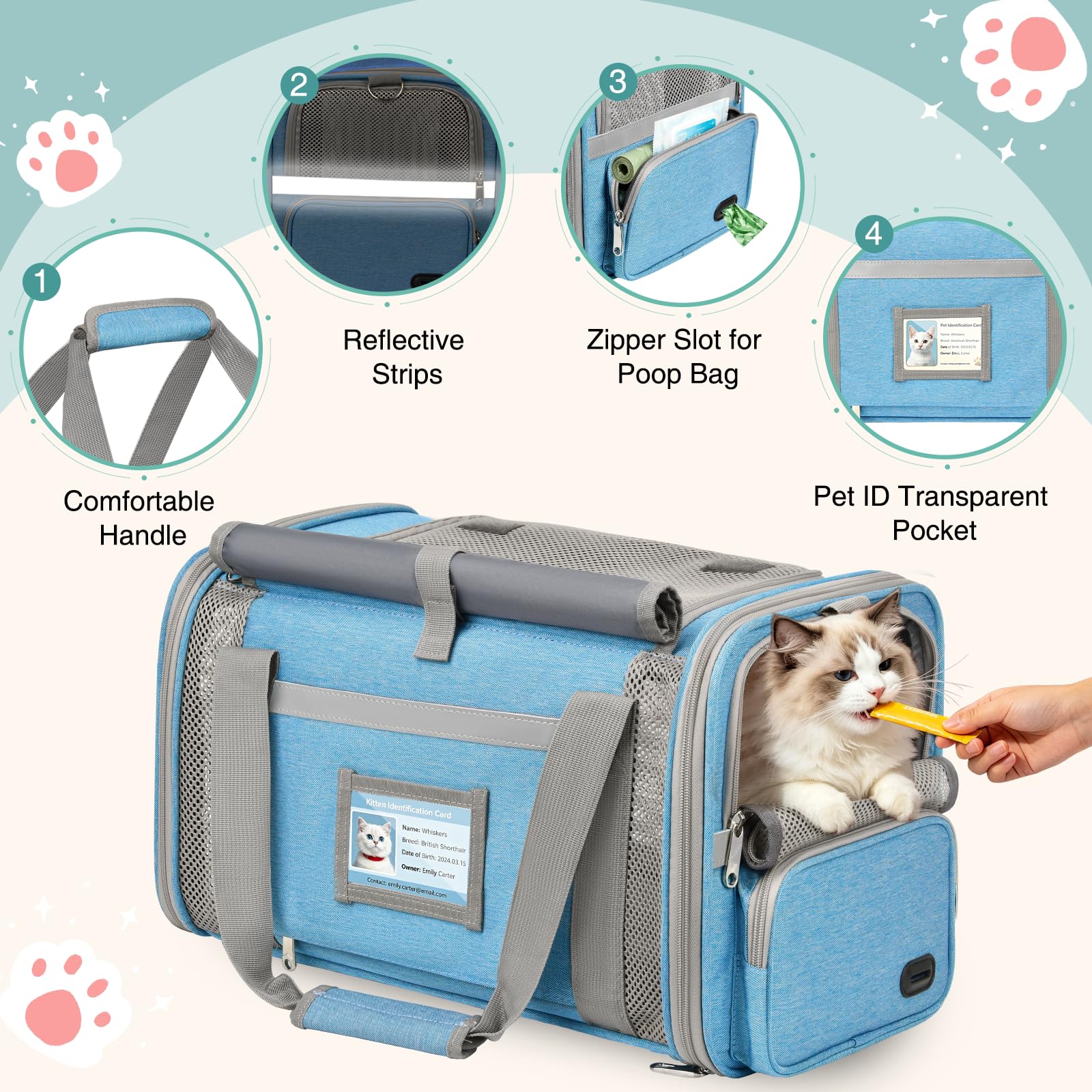 Katzentransportbox Flugzeugtauglich Hundebox Faltbar Weichseitige Transportbox Katze mit Innenleine Belüftung Katzentransporttasche für Reisen Auto Tierarzt bis 10kg (Himmelblau)