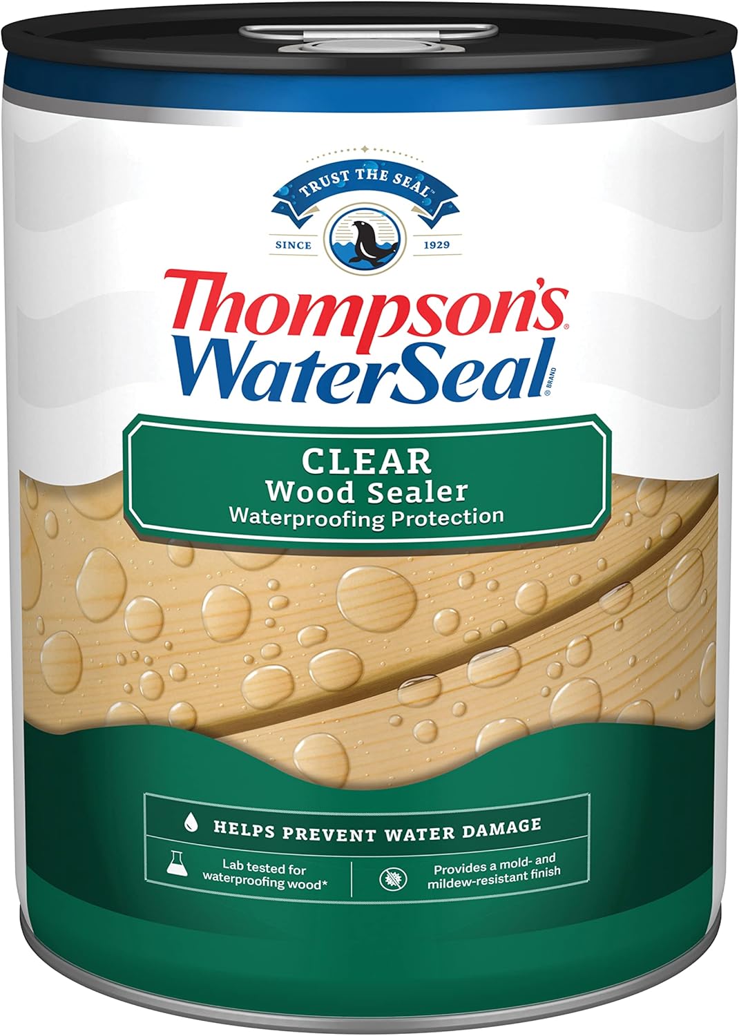 Thompson’s WaterSeal Clear Waterproofing Wood Stain and Sealer, 5 Gallon