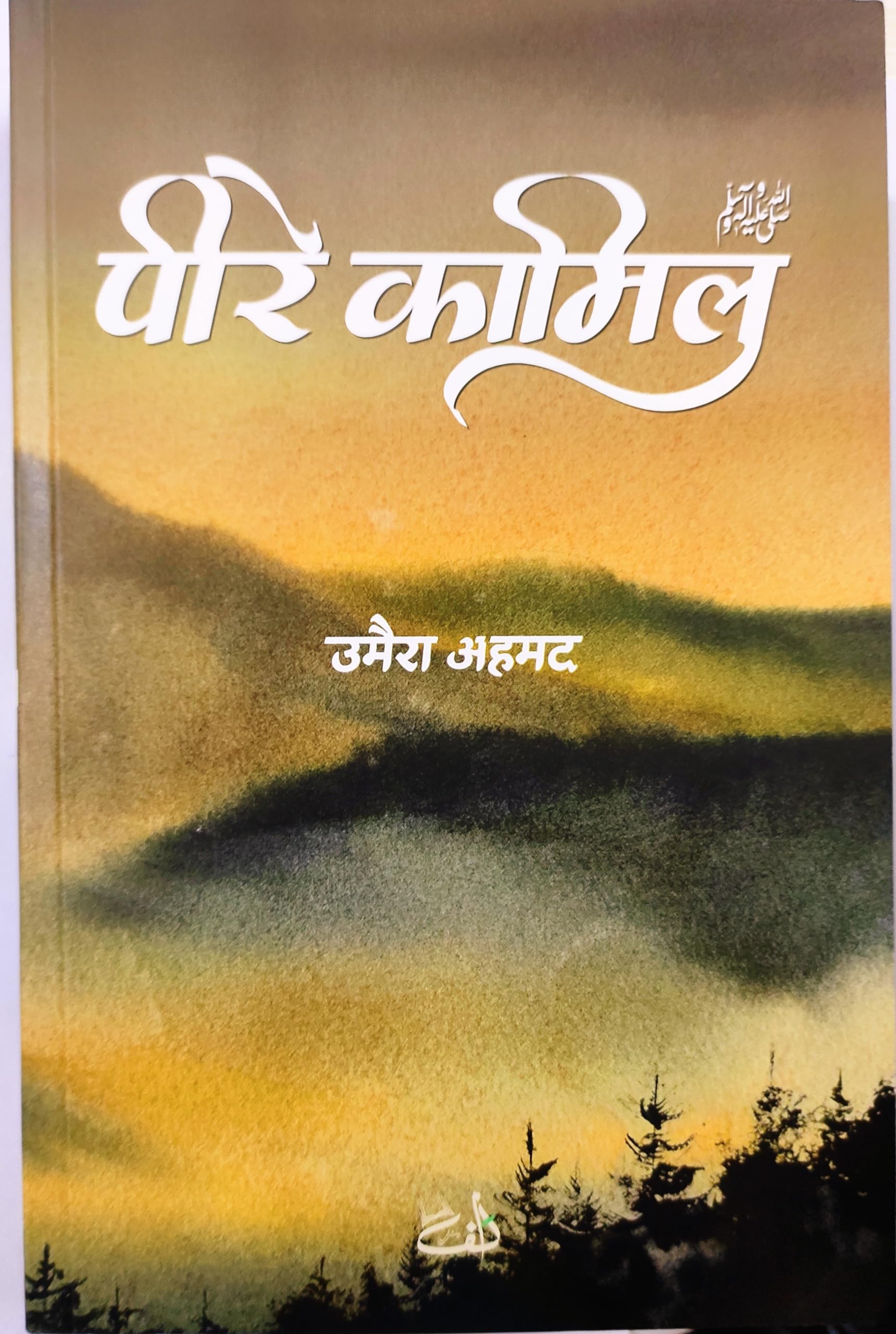 पीरे कामिल | उमैरा अहमद ! Peer E Kamil in Hindi | Umera Ahmed Novel | Hindi version | Paperback – 1 January 2024