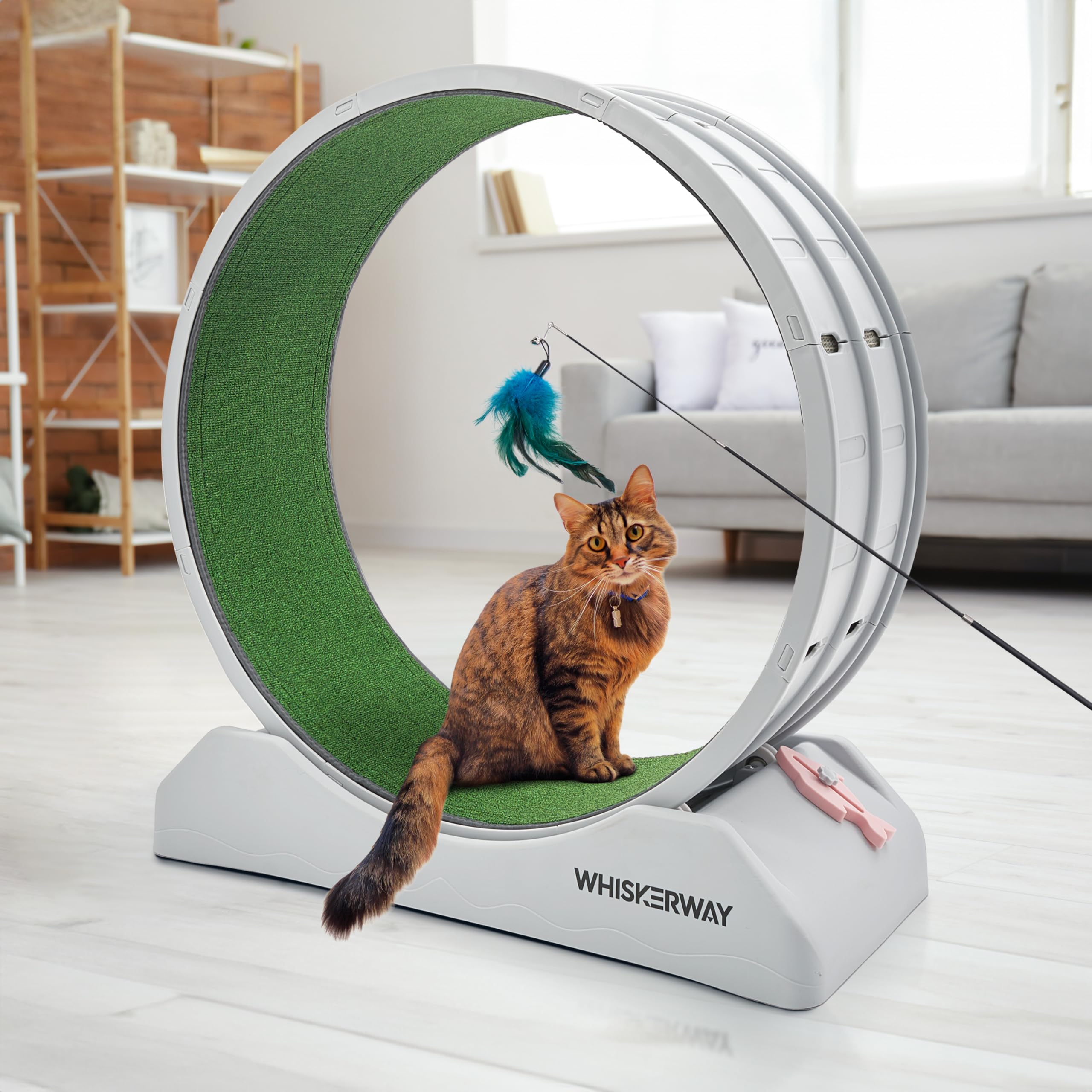 Whiskerway Cat Wheel - Easy to Install Cat Wheel for Indoor Cats, Promotes Fitness and Health - Suitable for Most Cats - Includes a Cat Teaser Stick Toy