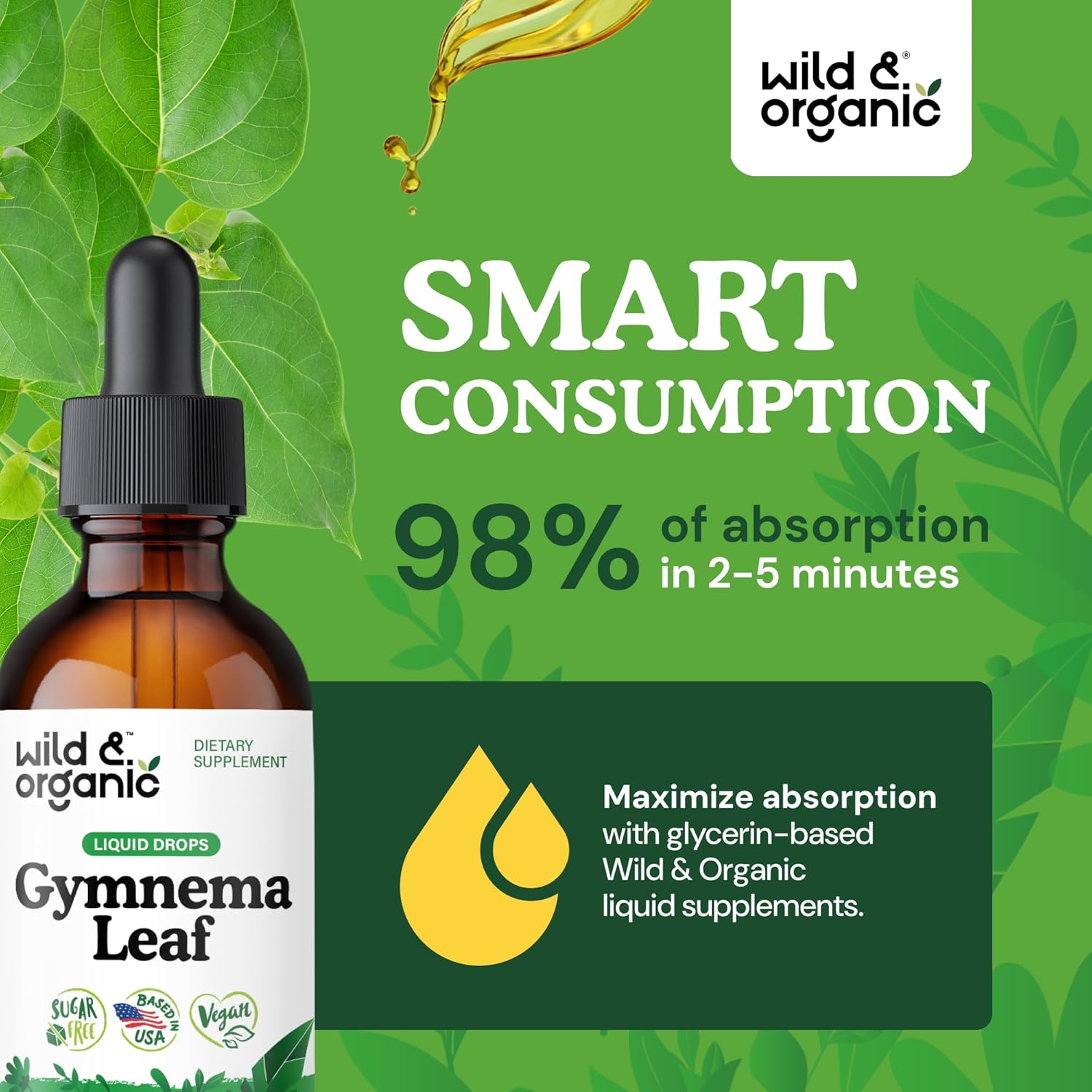 Wild & Organic Gymnema Sylvestre Extract Drops - Sugar-Free Gymnema Supplement for Overall Support - Gurmar Leaf Extract Tincture - Vegan, Alcohol-Free Liquid Drops - 2 fl oz
