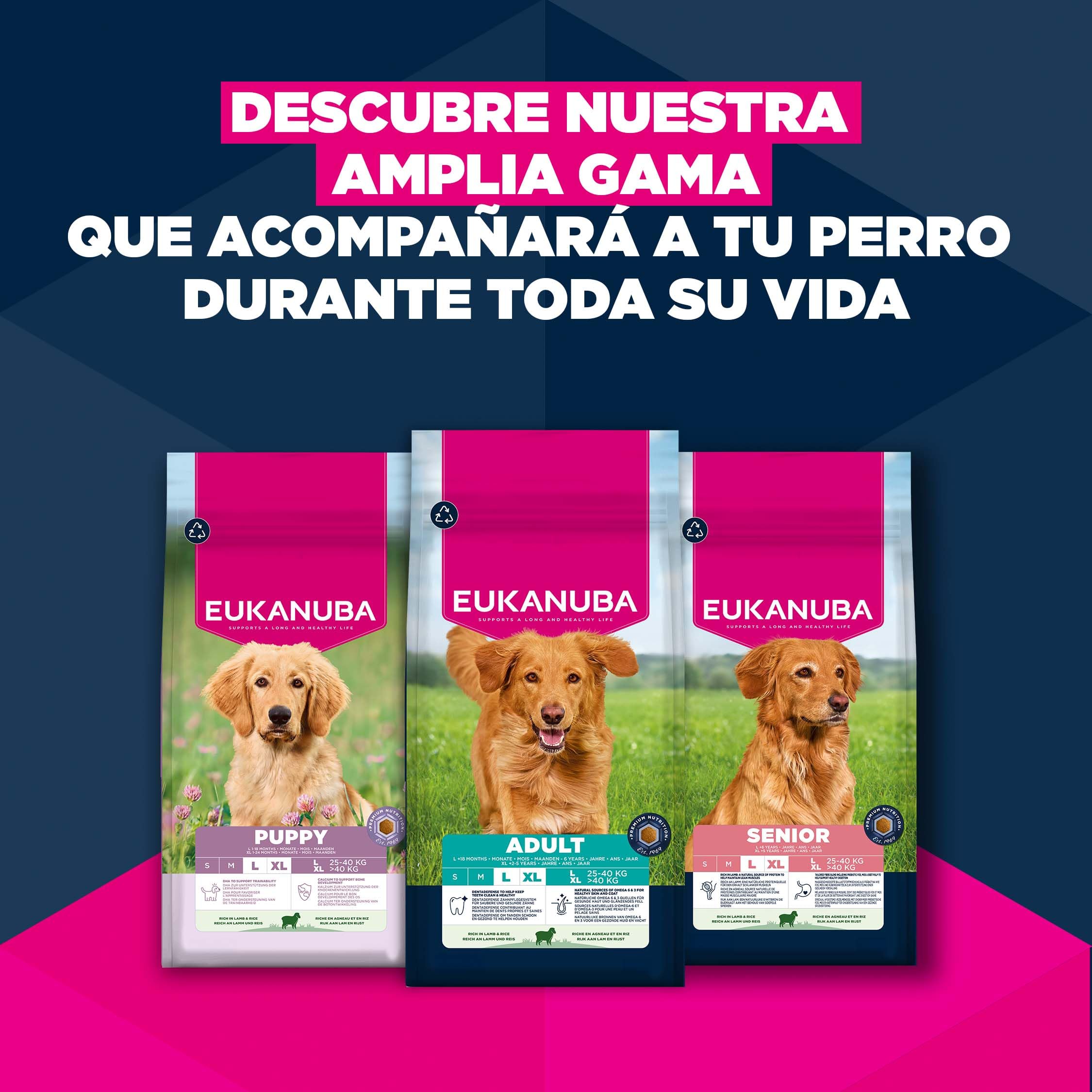 Eukanuba, alimento seco para Edad Avanzada con Cordero y arroz para Razas Grandes - Alimento seco Premium para Perros Senior, 12 kg