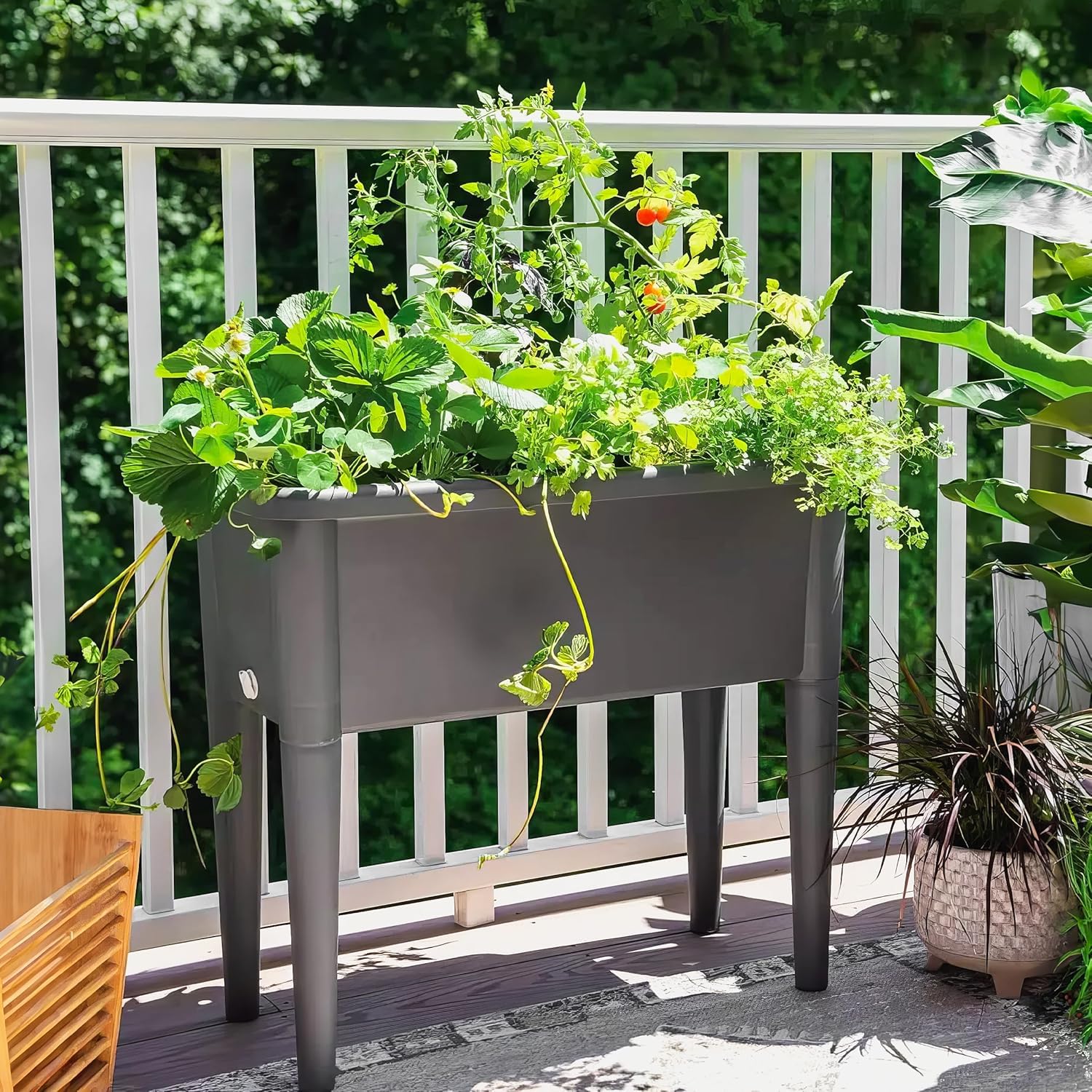 Hochbeet Kunststoff 76x37x84,5 cm | Robuster PP-Kunststoff mit abnehmbaren Beinen und Haube | Frühbeet für Garten und Balkon | Gemüsebeet im modernem Design