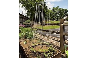Sturdy Bean Pole Trellis for Raised Beds and Gardens in USA-Made Galvanized...