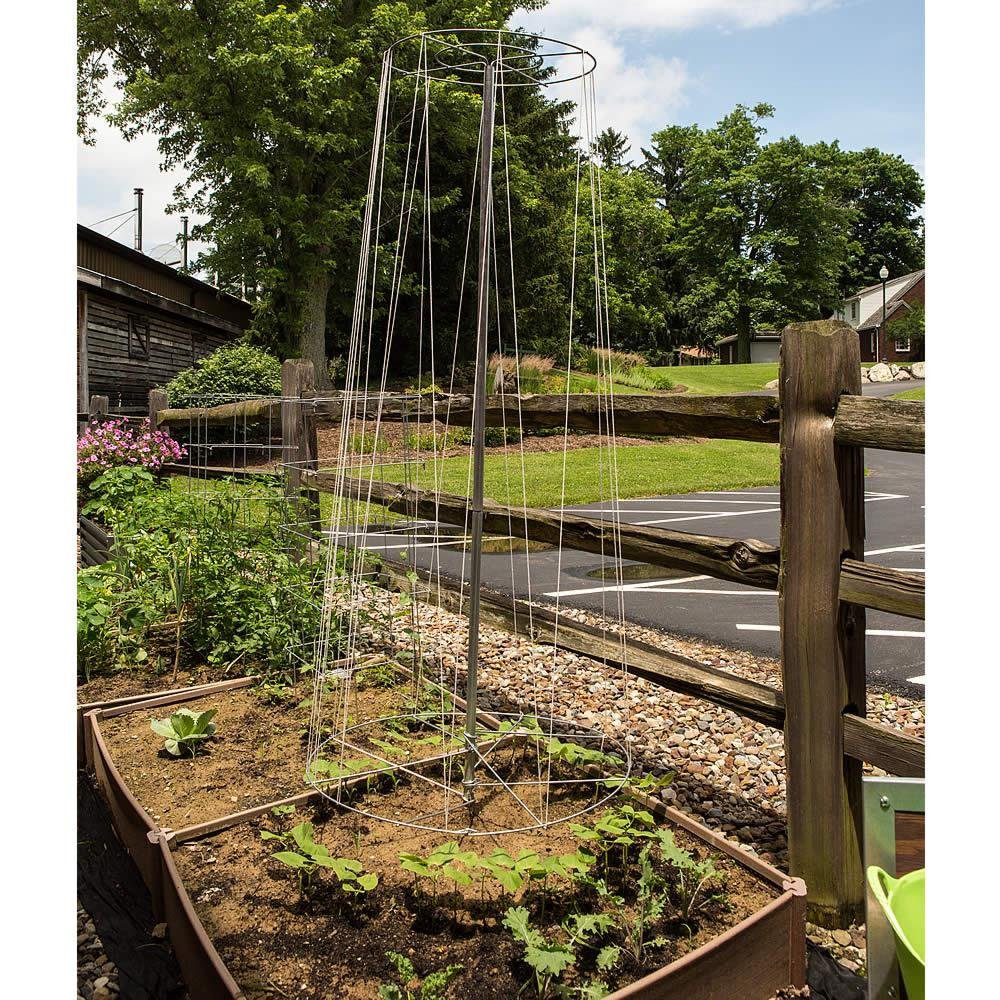 HAZKO Sturdy Galvanized Steel Vine Tower