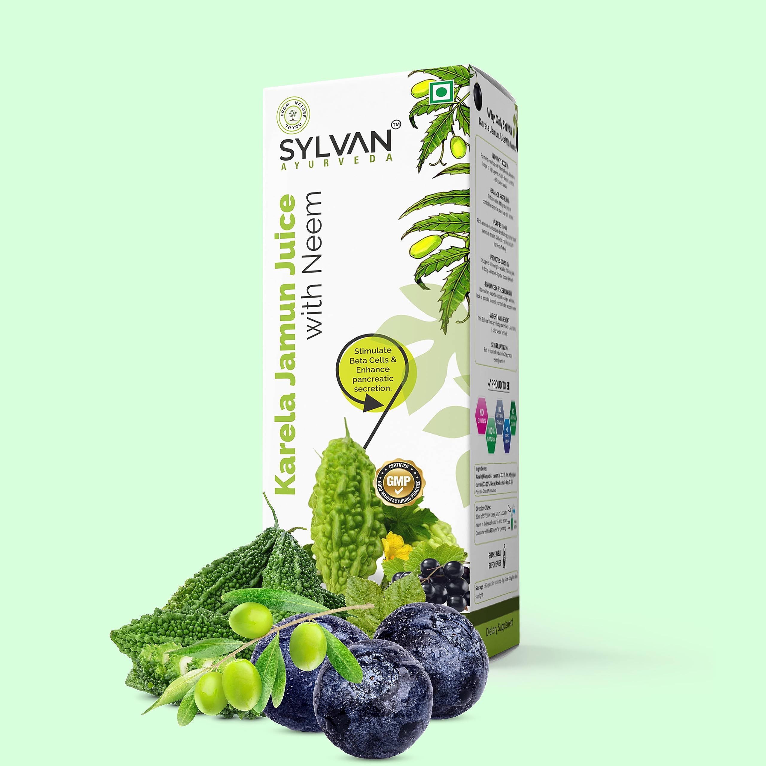 Sylvan Karela Jamun Juice Set | Helps Control Blood Sugar Level and Lower Bad Cholesterol | Diabetic Care (2L) 4