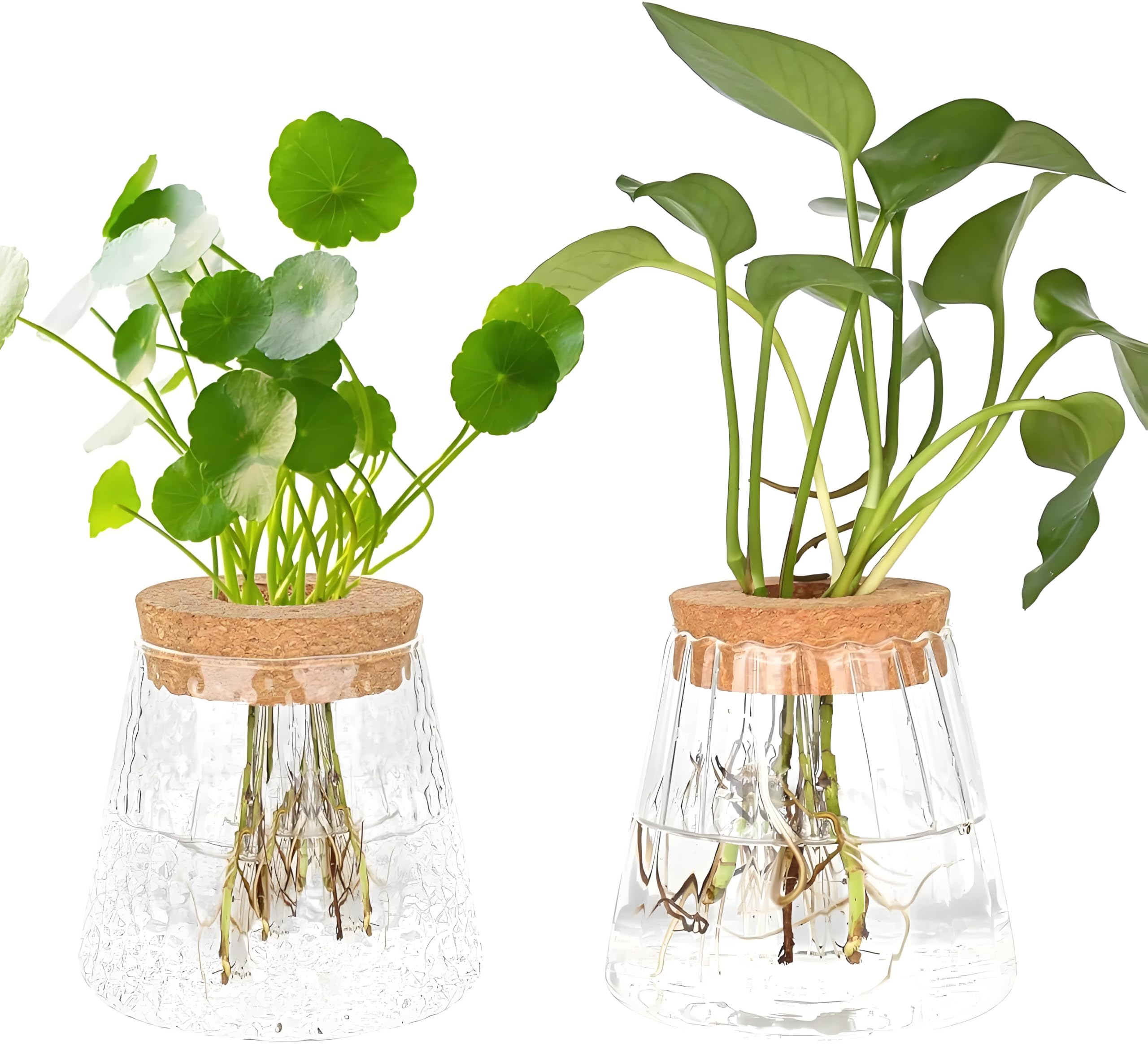 MJFENDAI 2 jarrones para plantas hidropónicas, pequeños jarrones vintage para decoración de mesa, jarrón de cristal, estación de propagación, jarrón de bolas para plantas, flores, plantas de interior