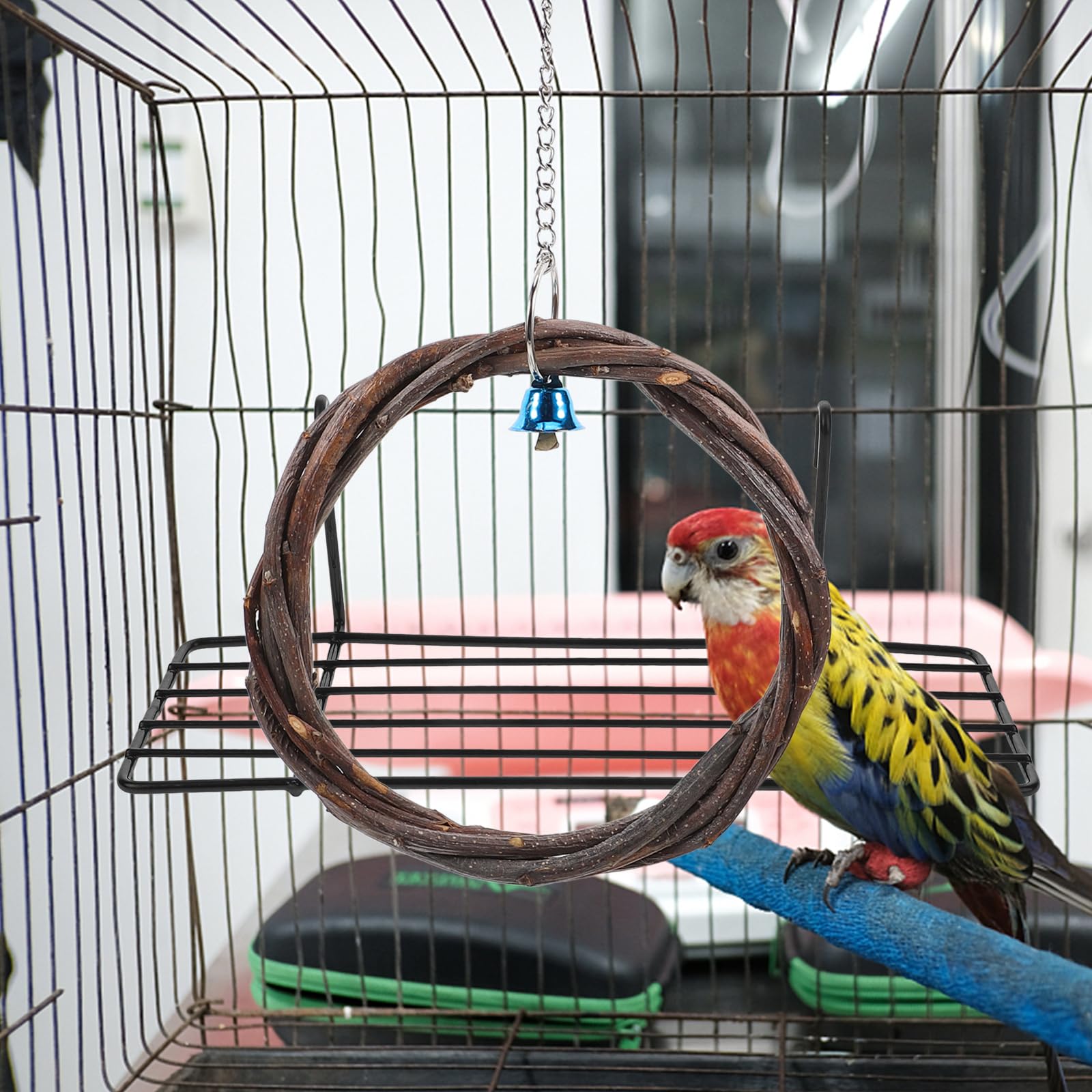 POPETPOP Papageien Schaukel Aus Holz - Spielzeug Für Wellensittiche & Vögel